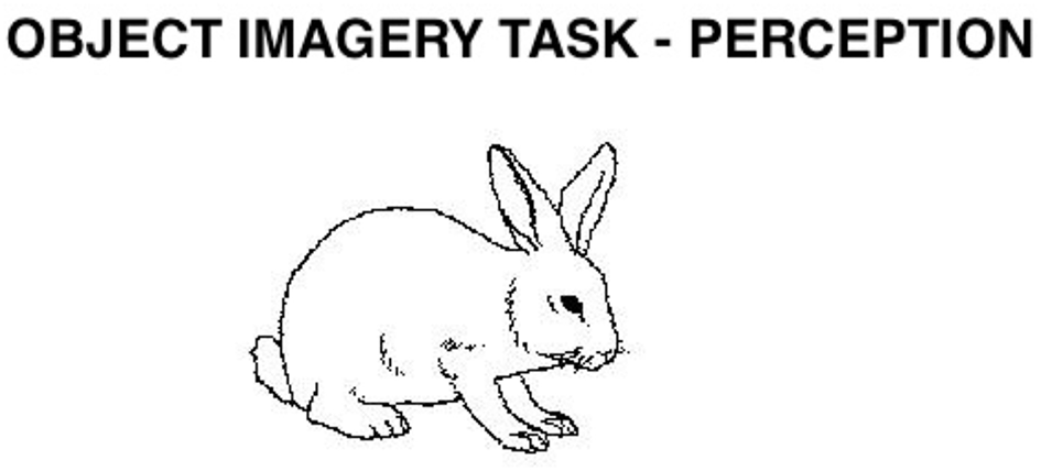Illustration showing a basset hound, labeled ”OBJECT IMAGERY TASK - PERCEPTION” at the top.