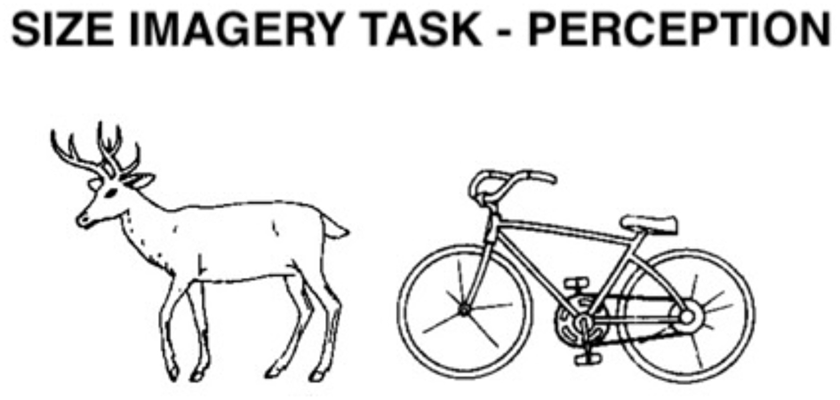 Illustration featuring a walnut and a grasshopper side by side. The title above reads ”Size Imagery - Perception,” suggesting a focus on comparing relative sizes and how they are perceived.
