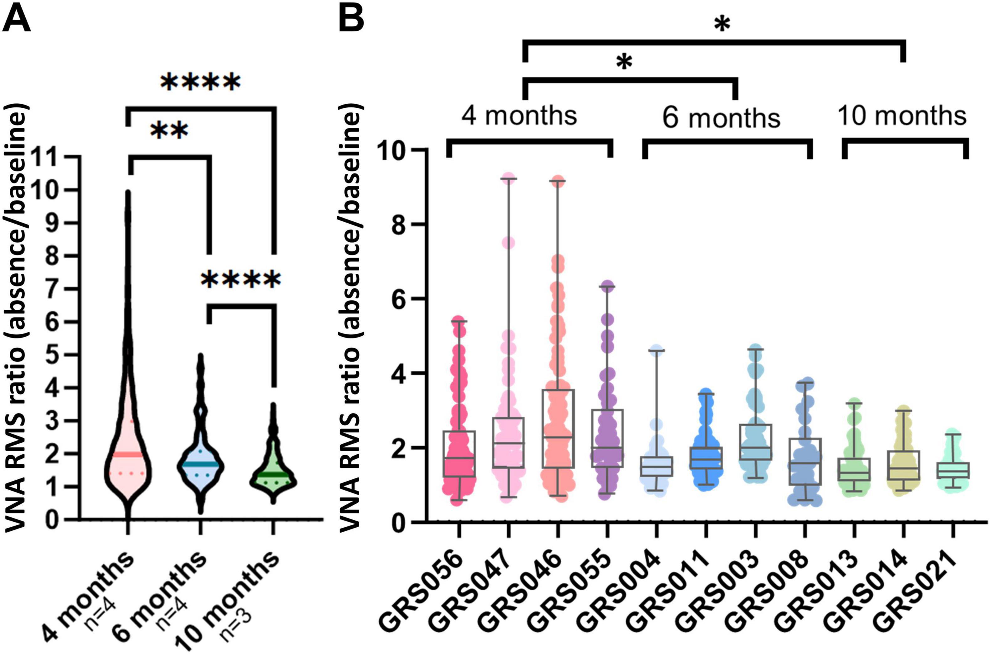 Violin and box plot charts show VNA RMS ratios over time. Chart A displays violin plots for 4, 6, and 10 months, indicating a significant decrease (**p<0.01, ****p<0.0001**). Chart B shows detailed box plots for various groups at the same time intervals, with statistical significance marked by asterisks.