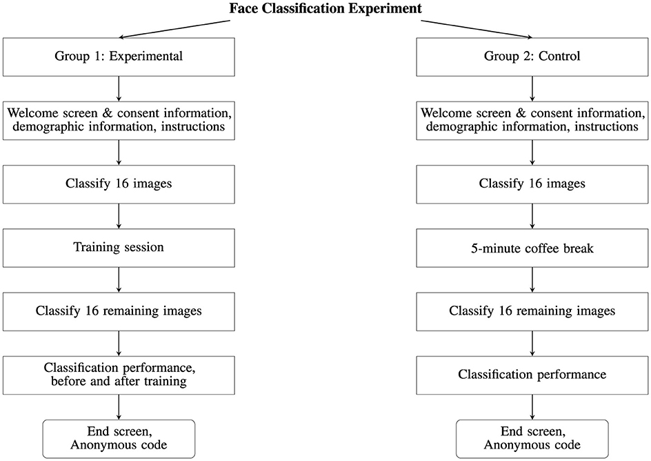 A flowchart outlines a face classification experiment with two groups: Experimental and Control. Both groups begin with consent and demographic information, followed by classifying 16 images. The Experimental group then undergoes a training session before classifying 16 remaining images and assessing pre- and post-training performance. The Control group takes a 5-minute break before classifying the remaining images, followed by performance assessment. Both groups conclude with an end screen and anonymous code.