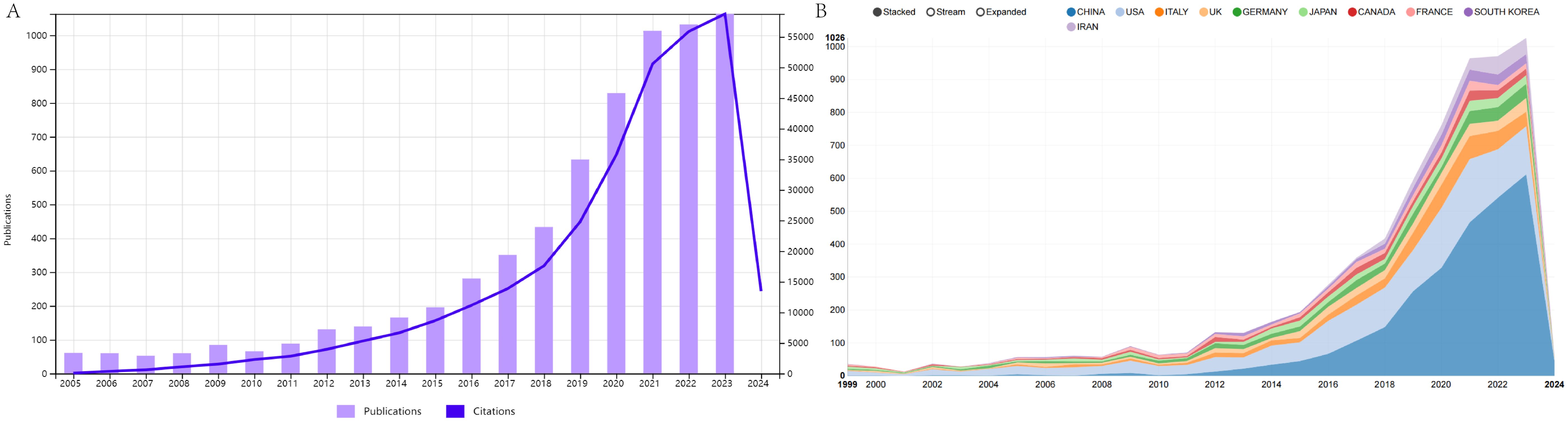 Graph A shows the growth in publications and citations from 2005 to 2024, with bars indicating rising publications and a line for increasing citations, peaking around 2022. Graph B is an area chart depicting international contributions to a topic from 1999 to 2024. It shows significant growth post-2010, with a steep rise toward 2022. Key countries include China, USA, and others, each contributing distinct areas in the chart.