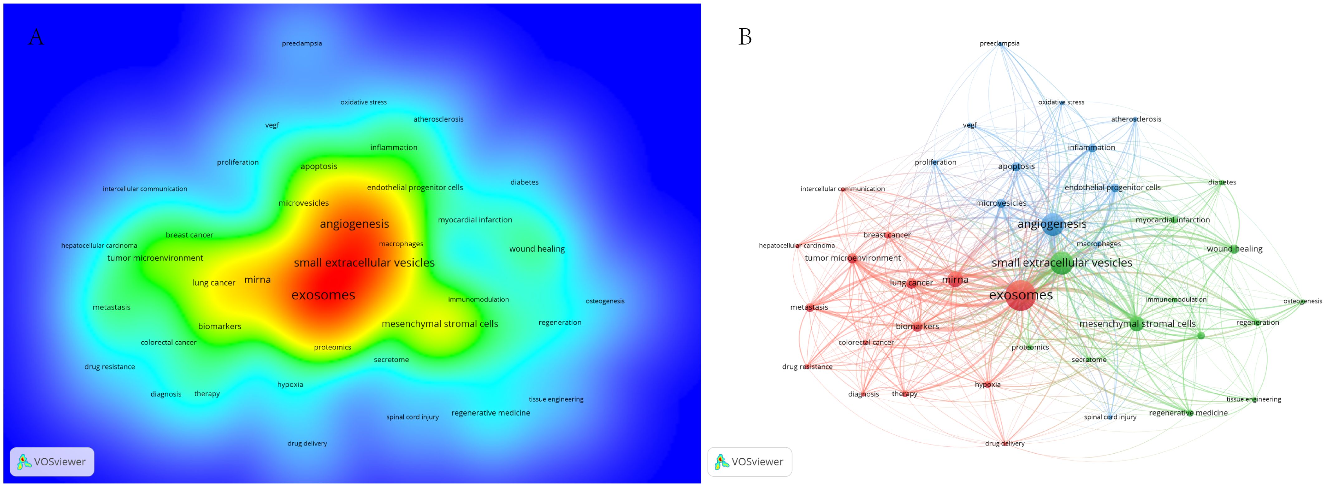 Panel A shows a heat map visualizing keyword occurrences, with “exosomes” and “small extracellular vesicles” at the center, surrounded by related terms. Panel B displays a network map, illustrating connections between keywords with “exosomes” as a central node, linked to terms like “angiogenesis,” “cancer,” and “wound healing.” Both panels use color gradients and lines to indicate the strength and frequency of relationships among the terms.