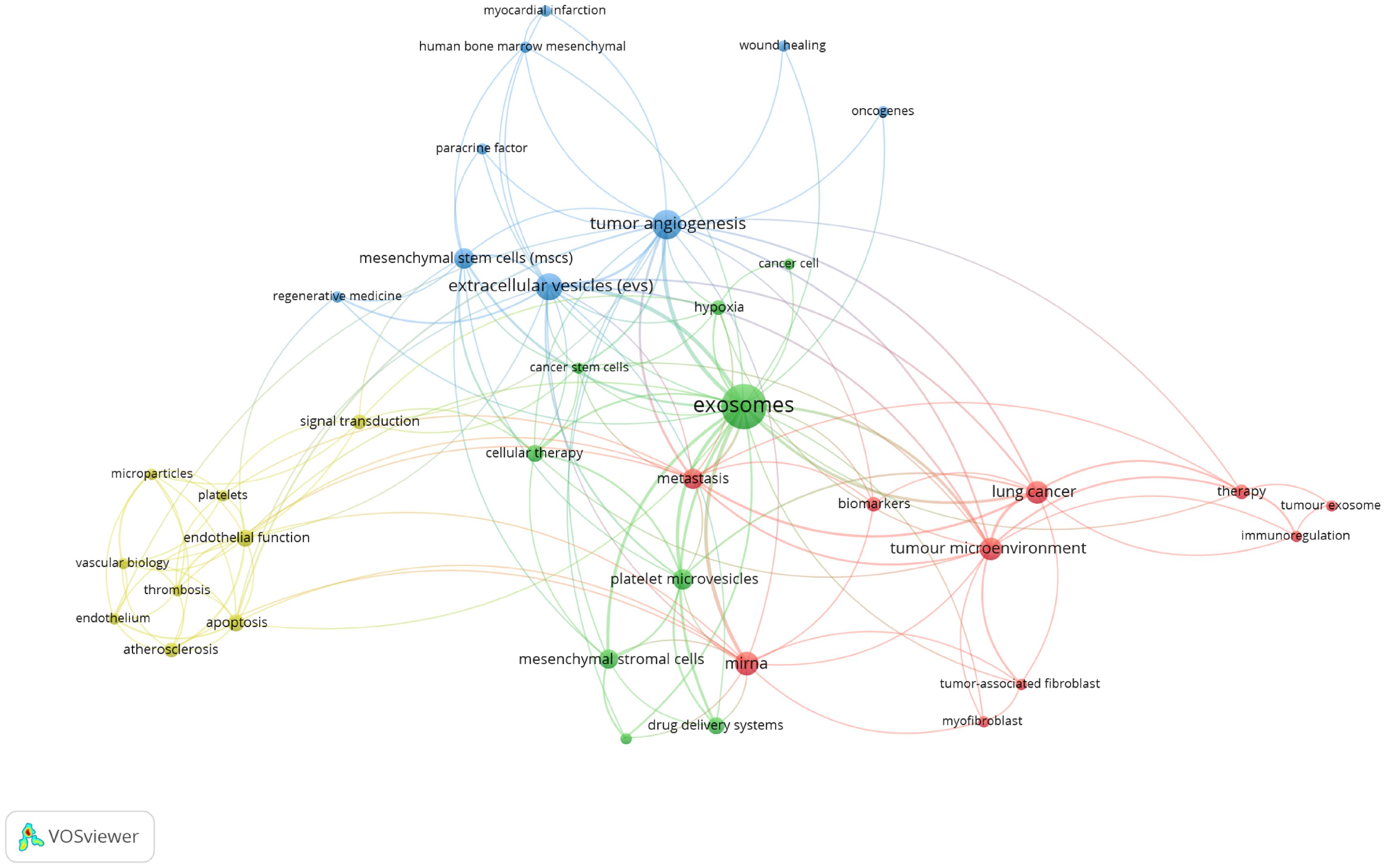 Network diagram visualizing connections between terms related to exosomes, tumor angiogenesis, lung cancer, and mesenchymal stem cells. Nodes are color-coded: green for exosomes, blue for tumor angiogenesis, red for lung cancer, and yellow for related processes like endothelial function and apoptosis. Lines indicate relationships between terms, showing a complex web of interactions.