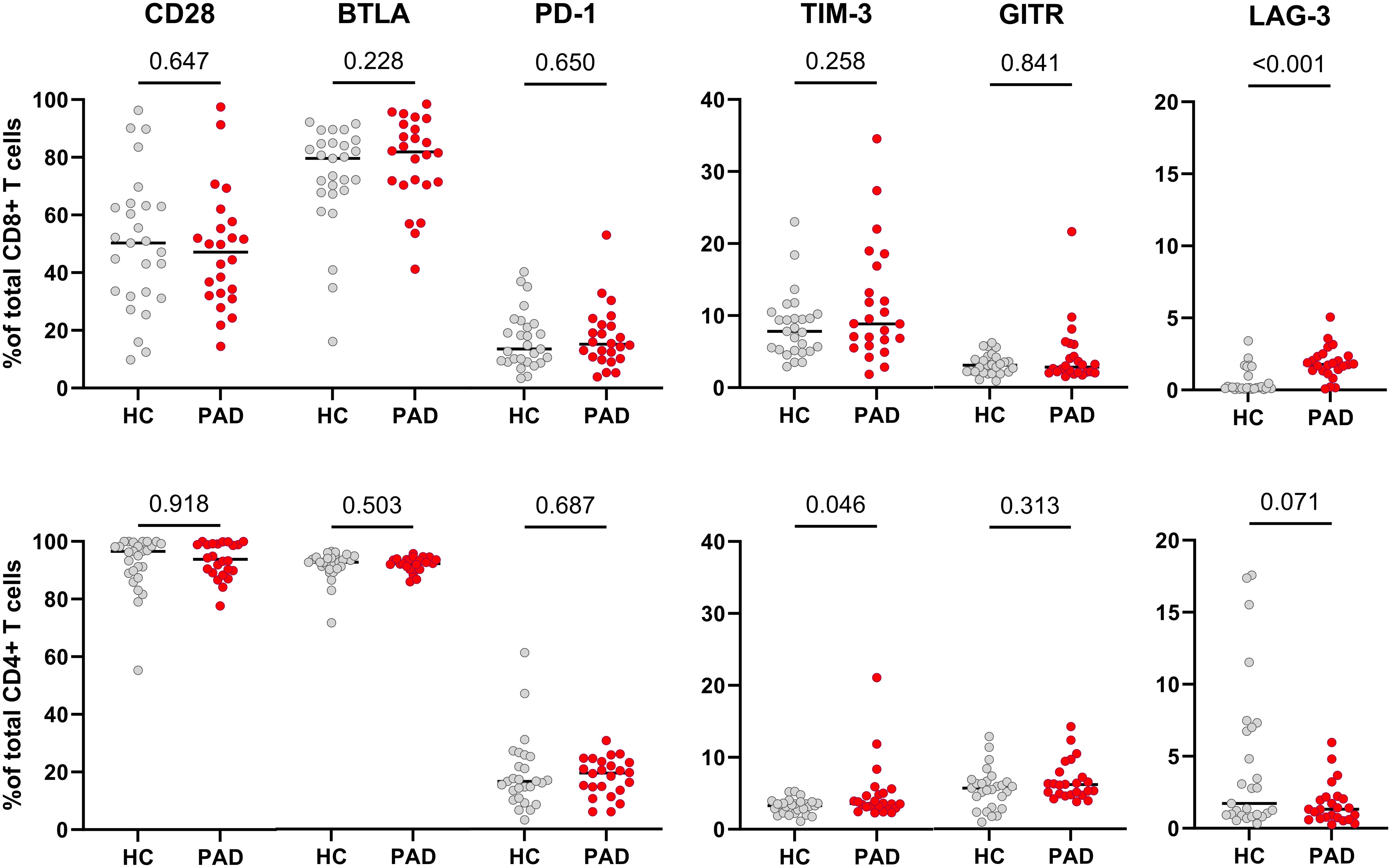 Scatter plots showing the percentage of total CD8+ and CD4+ T cells expressing CD28, BTLA, PD-1, TIM-3, GITR, and LAG-3 among healthy controls (HC) and patients with PAD. Each panel includes individual data points for HC (gray) and PAD (red), with horizontal bars indicating the mean. Statistical p-values are listed above each comparison.