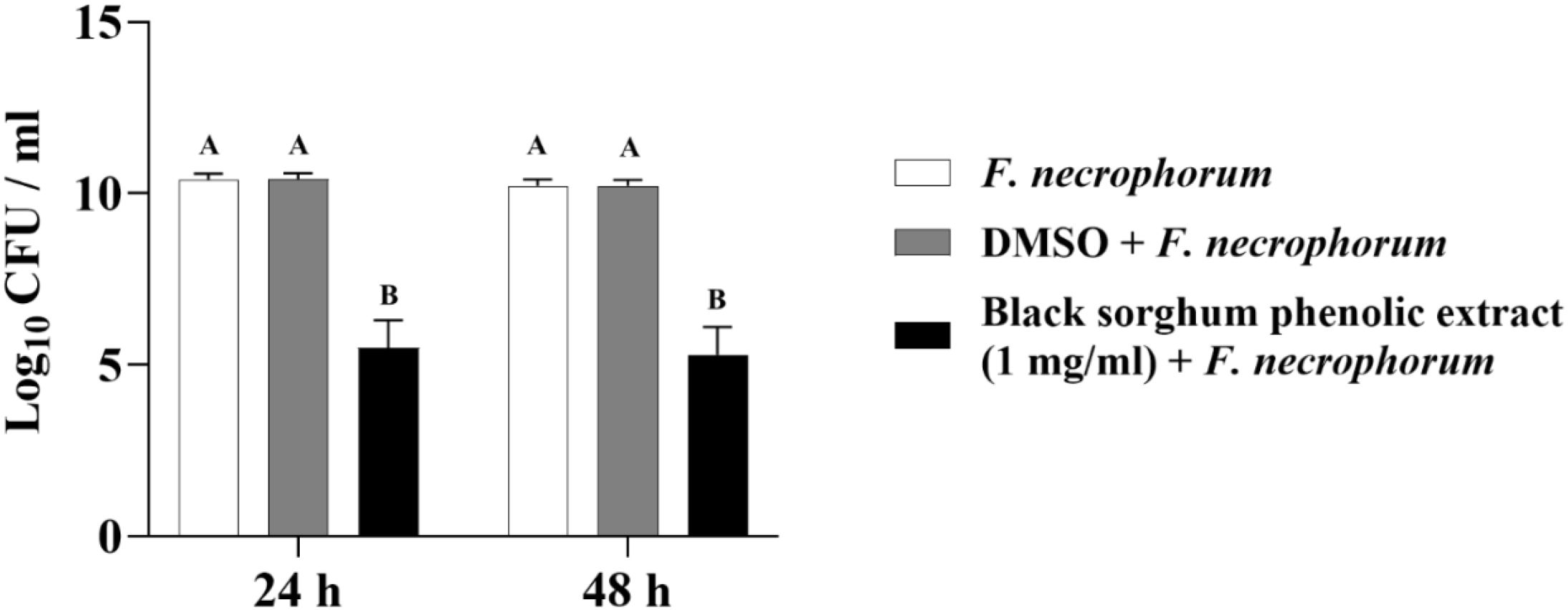 Bar graph comparing the effect of treatments on F. necrophorum growth over 24 and 48 hours. White and gray bars (F. necrophorum alone and with DMSO) show high CFU/ml levels (about 12 log₁₀), while black bars (sorghum extract treatment) show significantly lower levels (about 5 log₁₀). Bars labeled 'A' are statistically similar; 'B' indicates significant reduction.
