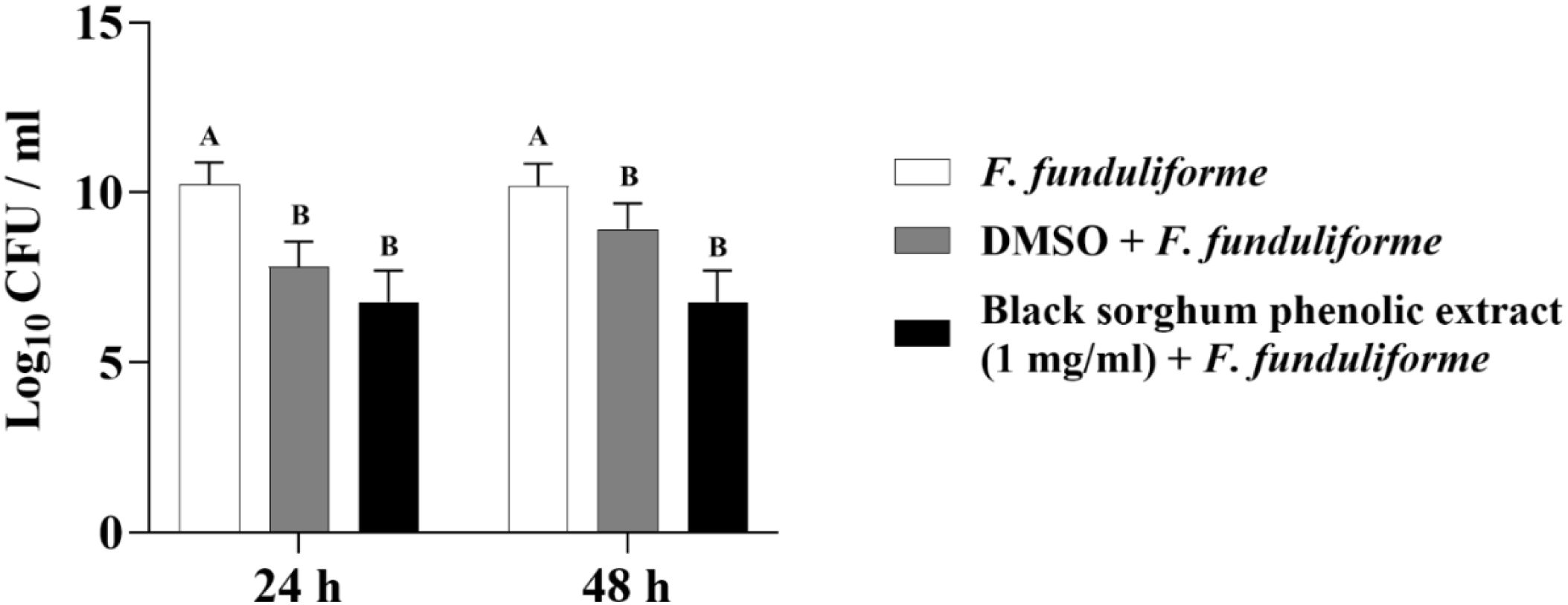 Bar graph showing the effect of different treatments on *F. funduliforme* growth over 24 and 48 hours. The treatments include *F. funduliforme* alone, DMSO with *F. funduliforme*, and black sorghum phenolic extract with *F. funduliforme*. At both time intervals, *F. funduliforme* alone shows higher colony-forming units (CFU) than the other treatments, with significant differences indicated by letters A and B above bars.