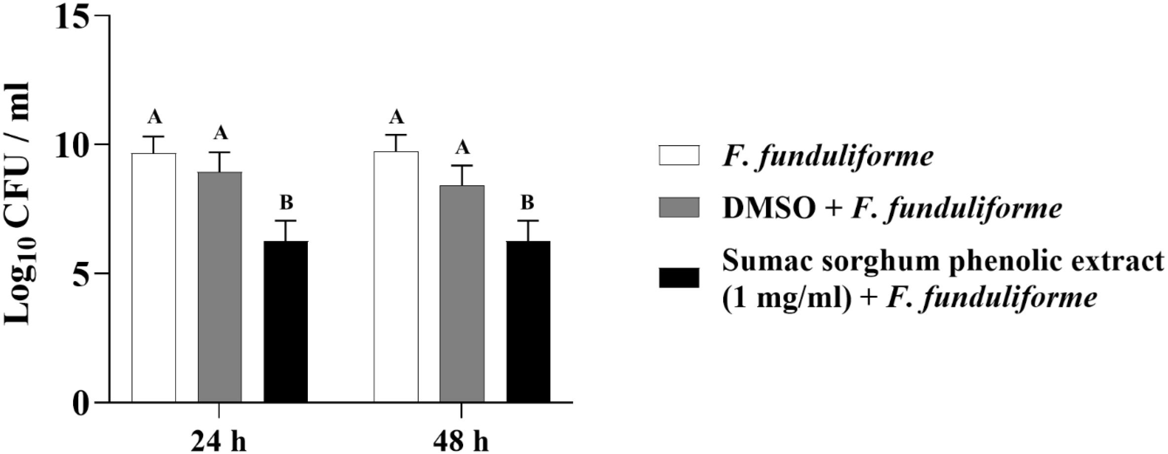 Bar graph showing the effect of treatments on F. fundulifome growth after 24 and 48 hours, measured in log10 CFU per milliliter. Three treatments are compared: F. fundulifome alone, DMSO with F. fundulifome, and sumac sorghum phenolic extract with F. fundulifome. At both time points, the sumac sorghum extract shows a significant reduction in growth compared to the other treatments, indicated by different letter groupings (B versus A).