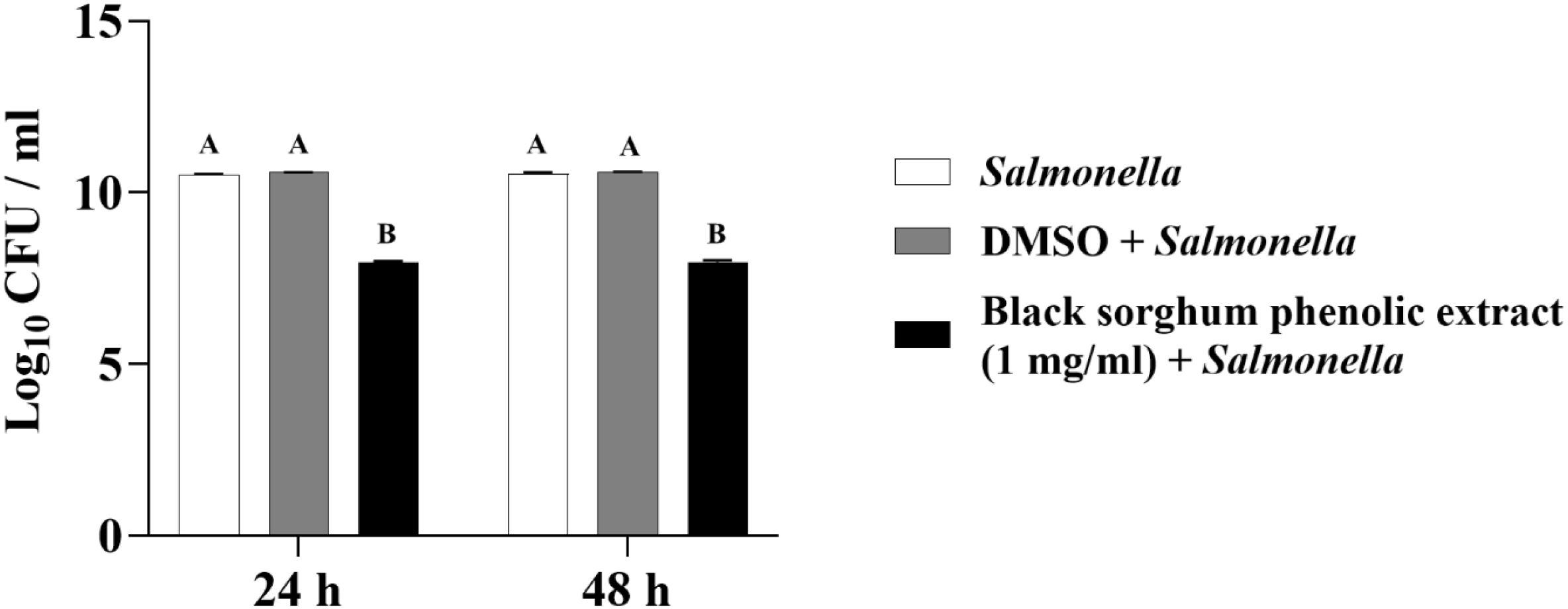 Bar chart showing Salmonella growth measured in colony-forming units per milliliter at 24 and 48 hours. Three conditions are compared: plain Salmonella, DMSO plus Salmonella, and black sorghum phenolic extract plus Salmonella. Both plain Salmonella and DMSO plus Salmonella have similar higher growth levels, labeled A. The black sorghum phenolic extract condition shows reduced growth, labeled B, at both time points.