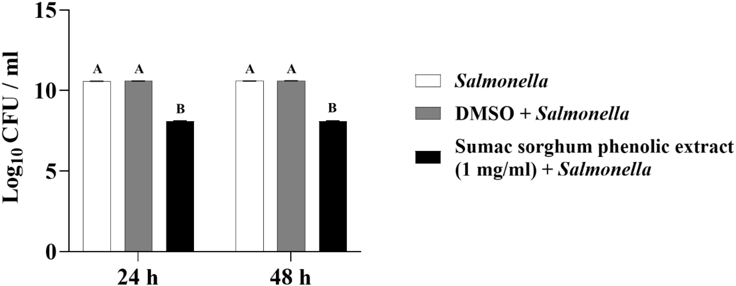 Bar chart showing the effect of treatments on Salmonella growth over twenty-four and forty-eight hours. White bars represent Salmonella alone, gray for DMSO plus Salmonella, and black for sumac sorghum phenolic extract plus Salmonella. Both treatments A, Salmonella and DMSO plus Salmonella, maintain high colony counts, while B, sorghum extract, shows decreased counts. The letters indicate significant differences between groups.