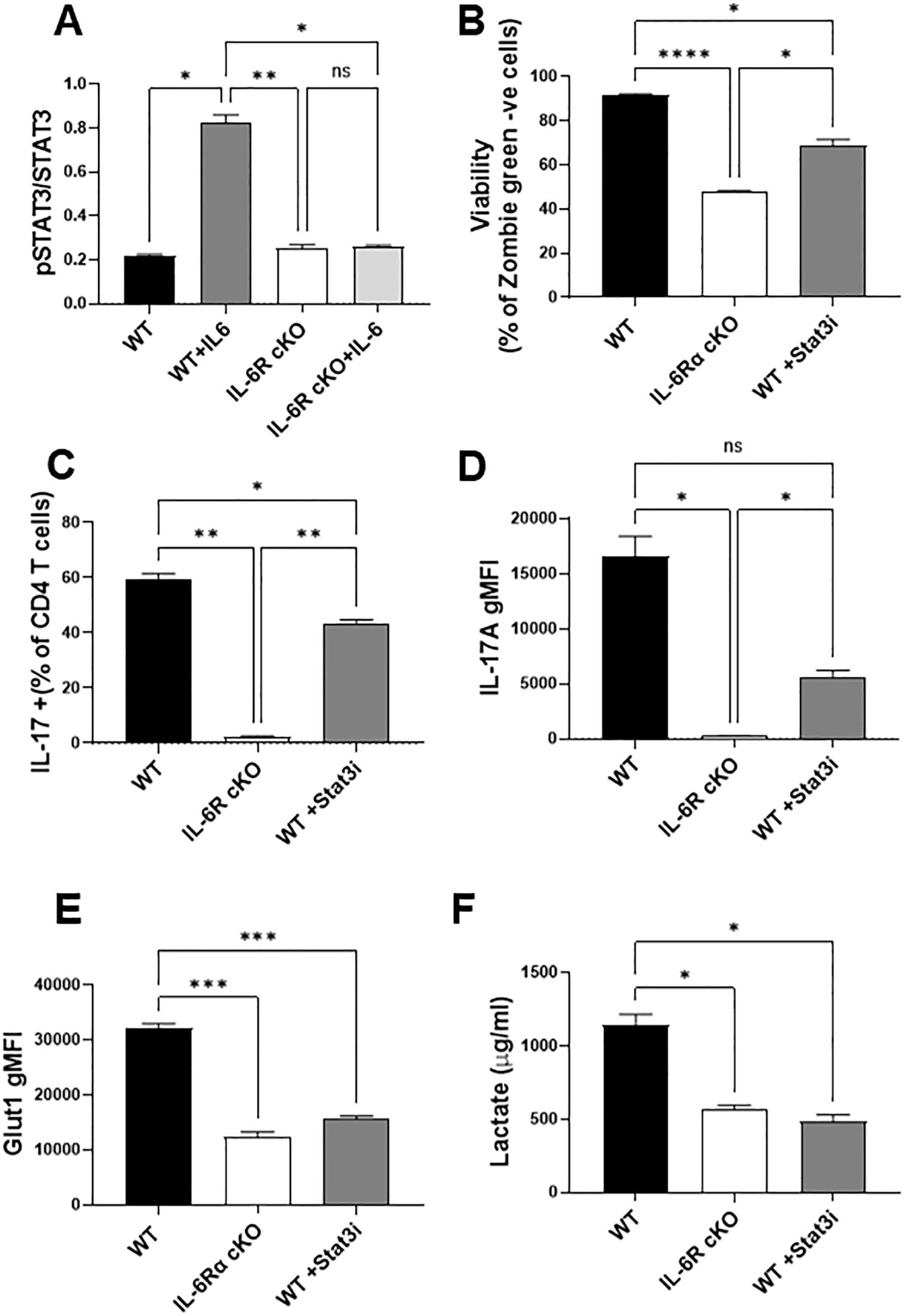 Bar graphs depicting experimental data with six panels labeled A to F. Panel A shows pSTAT3/STAT3 levels across four groups, highlighting significant differences marked by asterisks. Panel B presents viability percentages of zombie green-negative cells for different conditions, with statistical significance indicated. Panel C displays IL-17 positive CD4 T cells as a percentage, showing differences between groups. Panel D illustrates IL-17A gMFI, noting significant comparisons. Panel E shows Glut1 gMFI, with differences marked by asterisks. Panel F represents lactate levels in micrograms per milliliter, highlighting significant differences. Each graph includes error bars and labels indicating statistical significance.