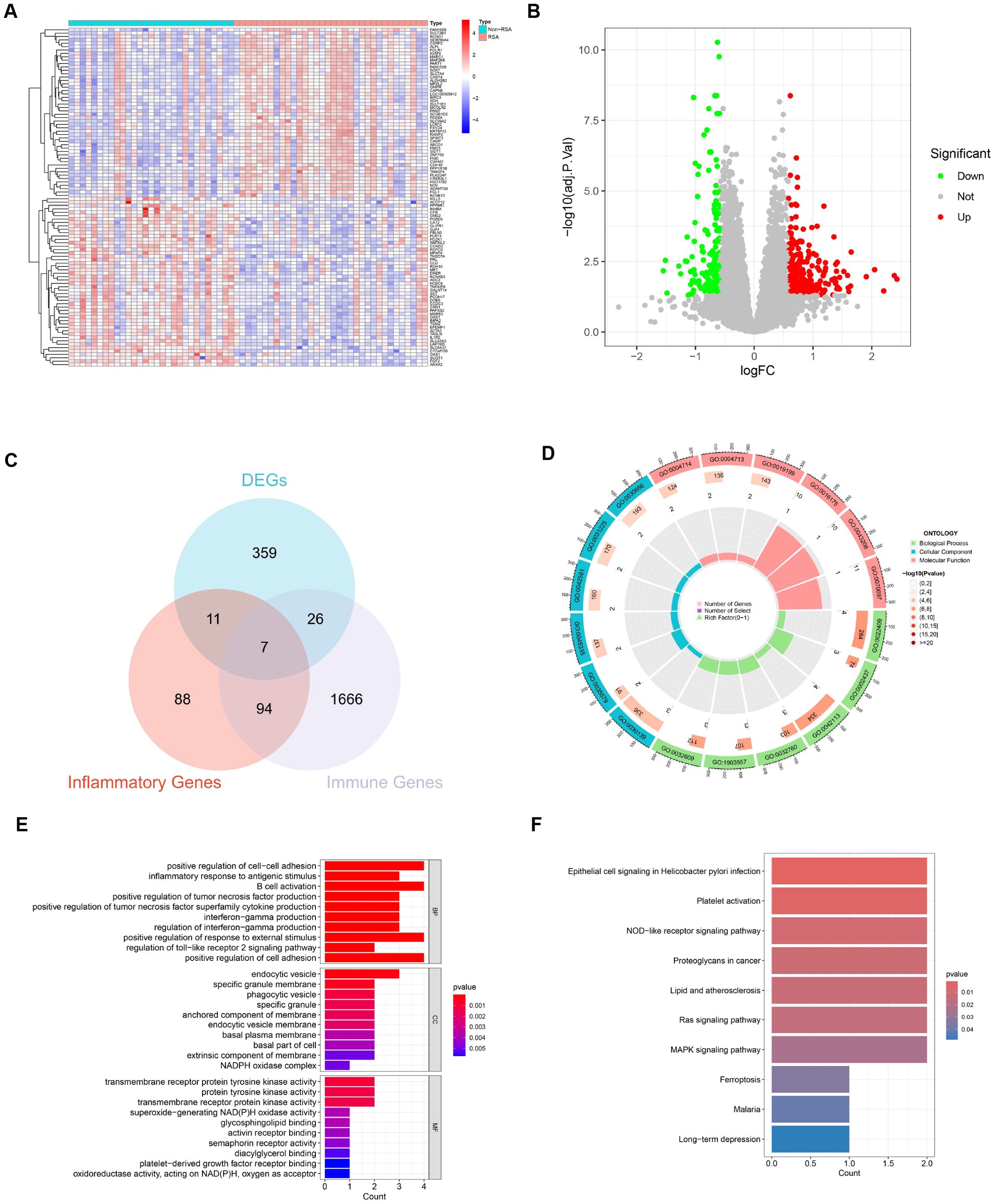 Data visualization with six components: A) Heatmap of gene expression, blue to red, indicating low to high expression. B) Volcano plot showing significant gene expression changes, colored points for downregulated (green), upregulated (red), and not significant (gray). C) Venn diagram illustrating overlapping genes between different categories: DEGs, inflammatory, and immune genes. D) Circular plot categorizing genes by ontology terms, with sections for biological processes, cellular components, and molecular functions. E) Bar graph displaying gene enrichment analysis with p-values indicated by color gradient. F) Bar graph highlighting pathways affected, with p-values represented by different colors.