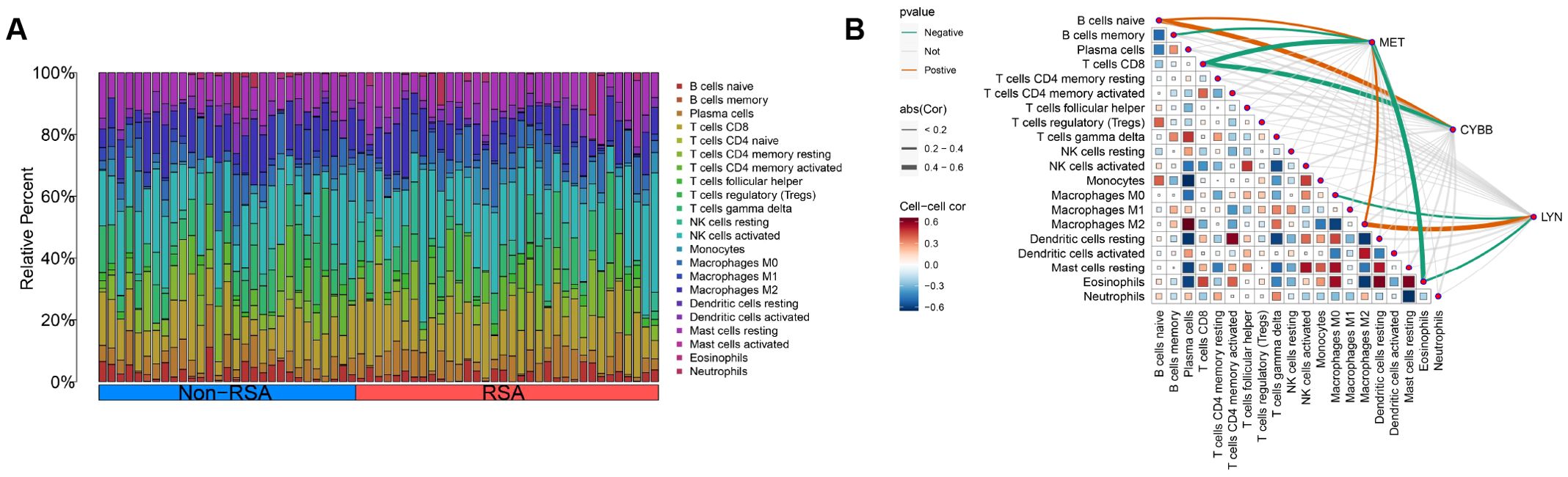 Panel A shows a stacked bar plot comparing the relative percentages of various immune cells in Non-RSA and RSA groups, using distinct colors for each cell type. Panel B displays a correlation matrix for different immune cells, with colored squares representing the strength and direction of correlations. Edges connect specific nodes, indicating significant relationships.
