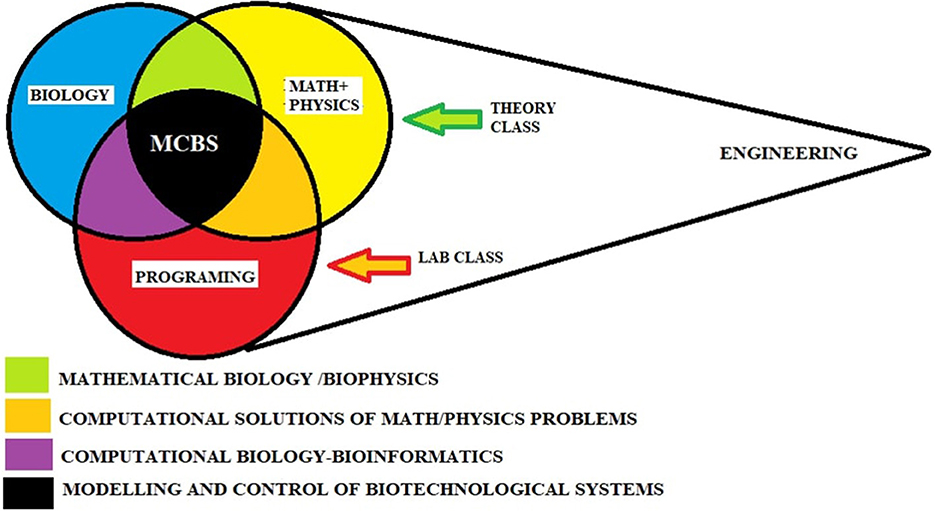 Venn diagram illustrating the intersection of biology, math and physics, and programming within MCBS (Mathematical and Computational Biology Systems). Sections include mathematical biology/biophysics, computational solutions to math/physics problems, computational biology-bioinformatics, and modeling/control of biotechnological systems. Arrows indicate theory classes aligning with math/physics and lab classes aligning with programming, extending towards engineering.