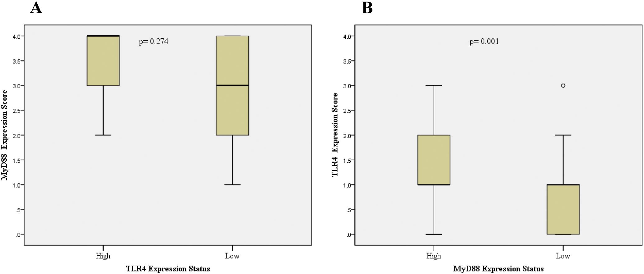 Box plots comparing expression scores. Panel A shows MyD88 expression scores by TLR4 expression status with a p-value of 0.274, indicating no significant difference. Panel B shows TLR4 expression scores by MyD88 expression status with a p-value of 0.001, indicating a significant difference. Each plot includes high and low expression comparison.