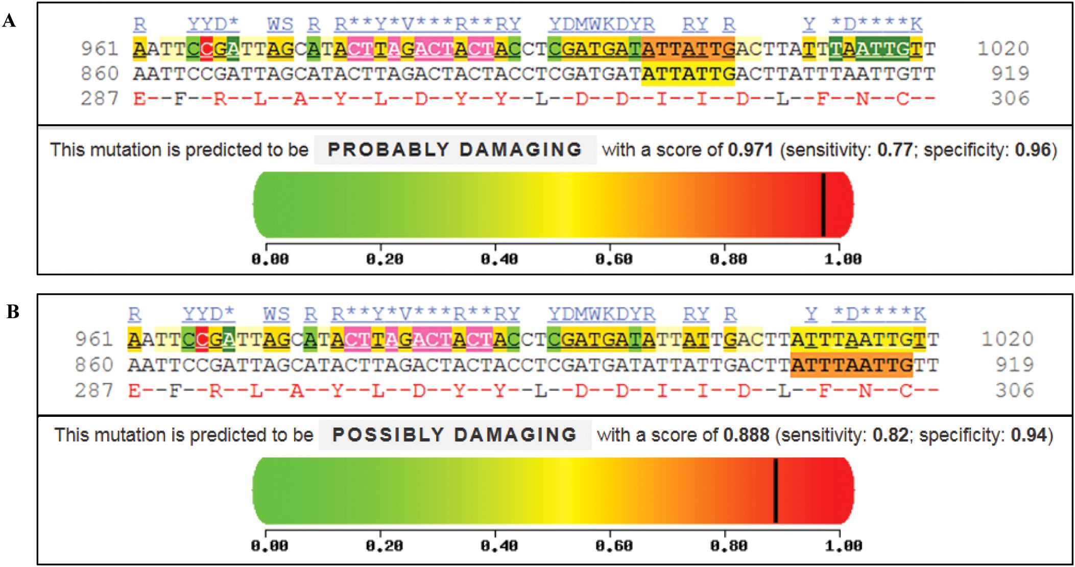 Panel A shows a DNA sequence alignment with a predicted “Probably Damaging” mutation, scoring 0.971 with sensitivity of 0.77 and specificity of 0.96. The sequence highlights mutations and corresponding changes. Panel B presents a similar alignment with a “Possibly Damaging” mutation, scoring 0.888 with sensitivity of 0.82 and specificity of 0.94. Both panels contain color gradient bars indicating mutation impact.
