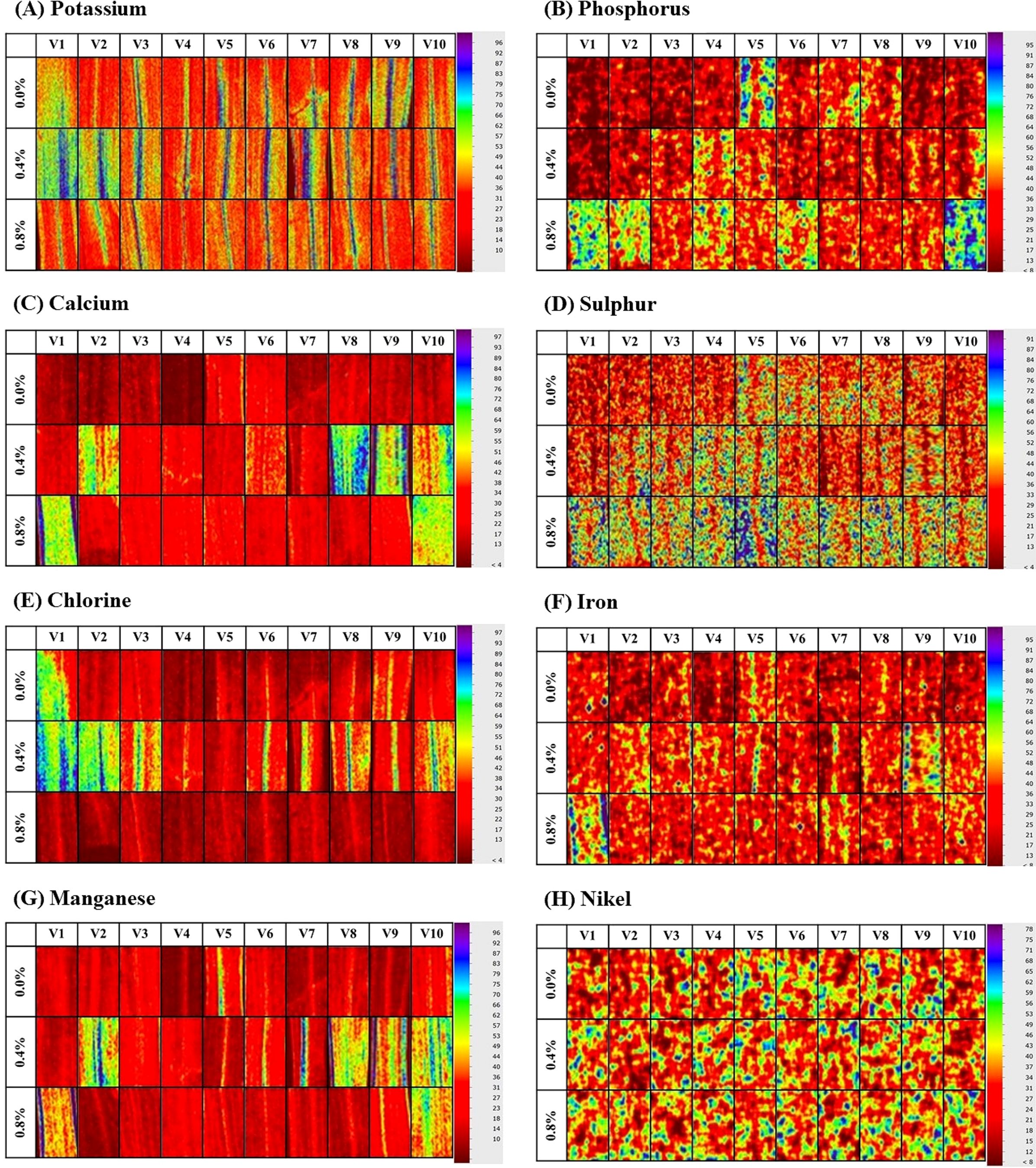 Heat maps depict the concentration distribution of eight elements: Potassium, Phosphorus, Calcium, Sulphur, Chlorine, Iron, Manganese, and Nickel. Each element is represented in grids for varying concentrations (0.0%, 0.4%, 0.8%) across V1 to V10. Color gradients range from blue (low concentration) to red (high concentration), with a legend indicating intensity values from 4 to 97.
