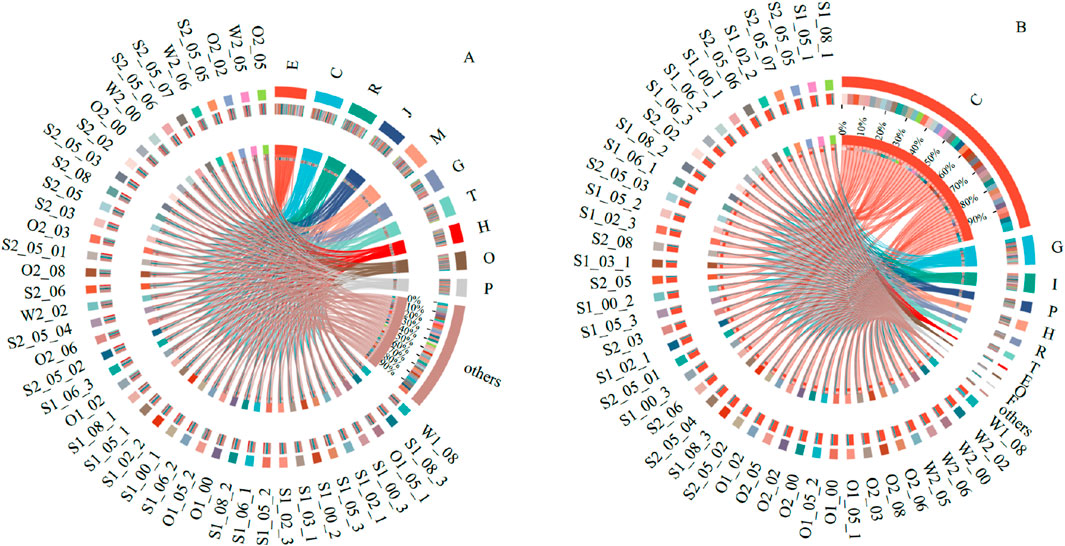 Circular diagram with two panels, A and B, showing interconnected data using lines. Outer sections are labeled with identifiers like S2_05_03 and S1_02_3. Inner sections show percentage marks. Colors represent different categories, linking sections across the circle.