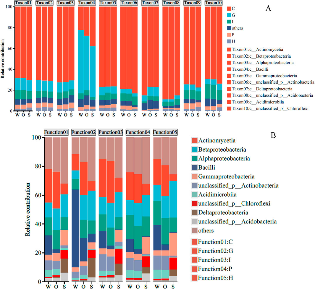 Bar charts displaying the relative contribution of various taxa and functions. Section A shows taxa contributions labeled as Taxon01 to Taxon10 with categories like Actinomycetia and Bacilli. Section B illustrates functional contributions labeled as Function01 to Function05. Each chart features columns for W, O, and S categories with different colors representing taxonomic and functional groups.