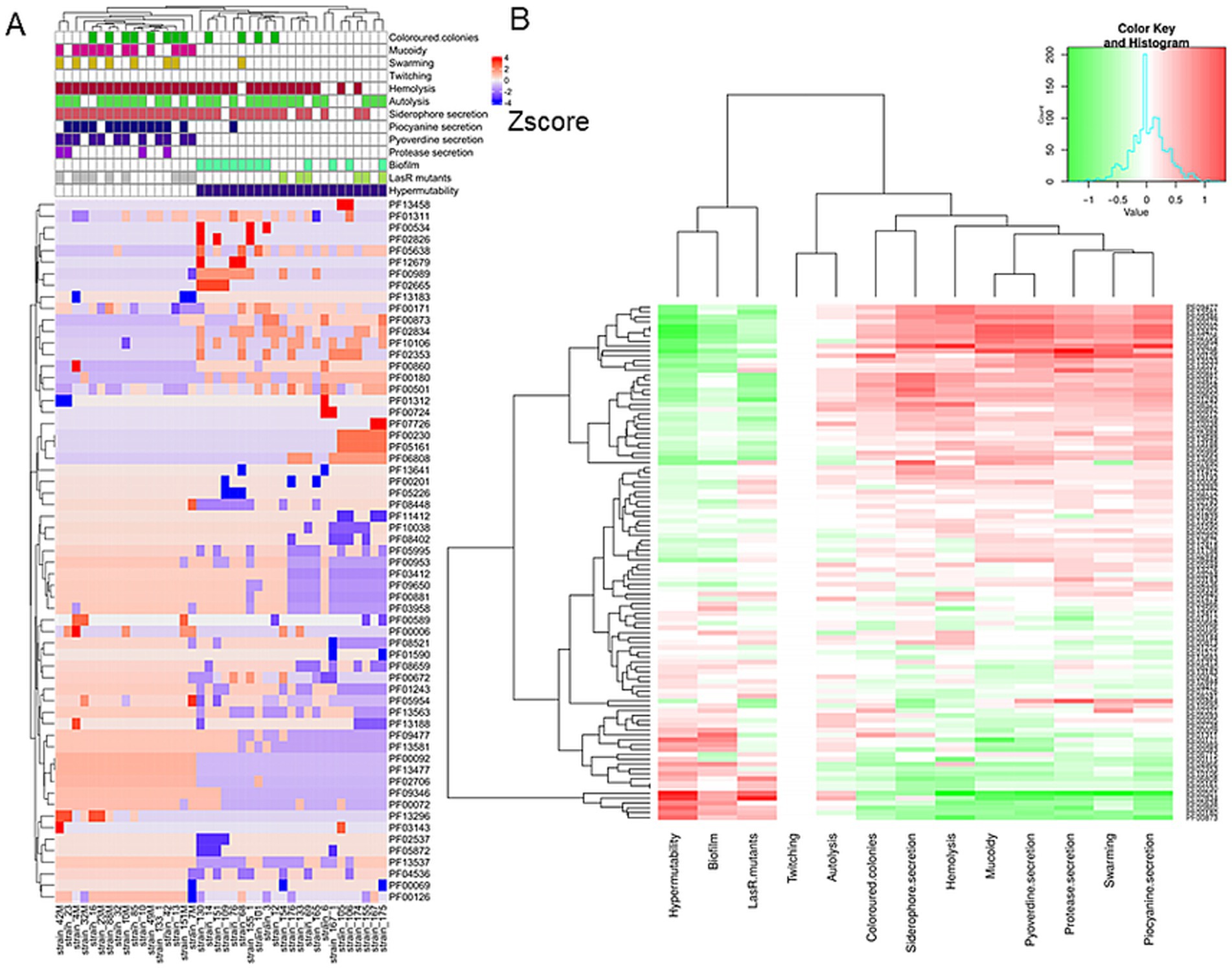 Heat map displaying Z-score data organized by clustering. Panel A shows various traits, such as colony color and secretion types, with color-coded squares indicating trait presence. Panel B presents gene expression data, with red and green gradients representing expression levels. A color key explains the gradient values.