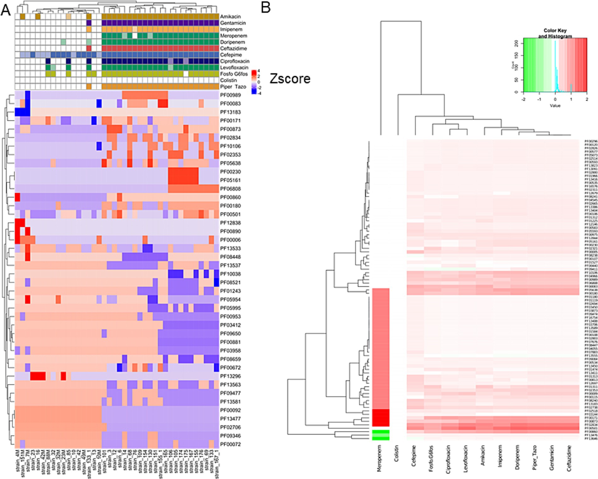 Composite image with two heat maps labeled A and B. A: Displays antibiotic resistance profiles across samples with a color key indicating Z-scores ranging from blue (low) to red (high). Antibiotics are listed along the top.B: Features a dendrogram heat map with hierarchical clustering. The color key shows Z-scores from green to red. Genes or samples are arranged vertically.A color key and histogram inset is included.