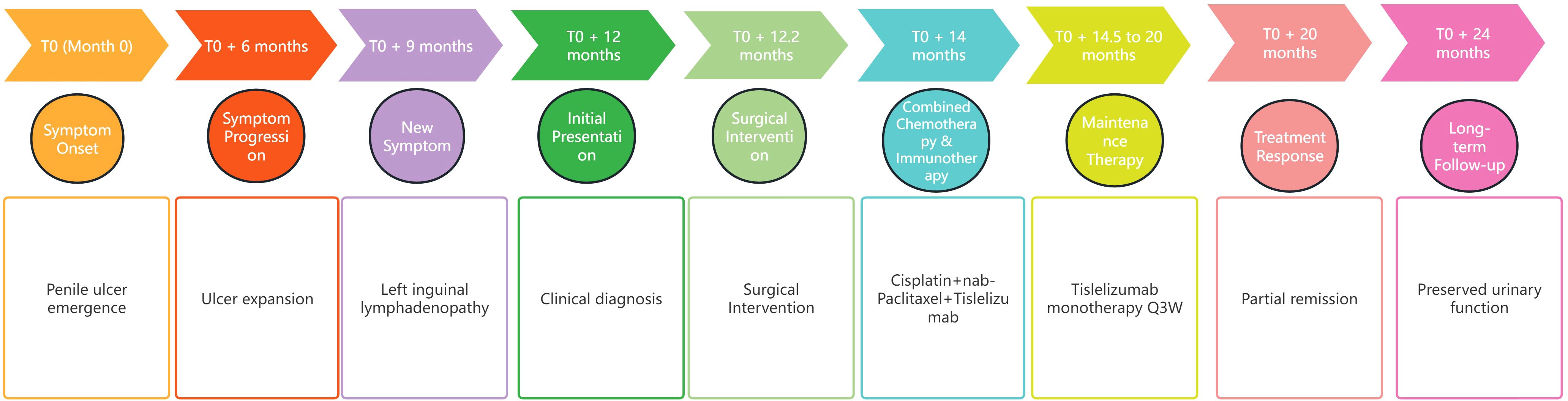 Timeline illustrating patient progression over 24 months. At month zero, symptom onset with penile ulcer emergence. Six months later, symptom progression with ulcer expansion. At nine months, new symptom: left inguinal lymphadenopathy. At 12 months, initial presentation and clinical diagnosis, followed by surgical intervention. At 14 months, combined chemotherapy and immunotherapy with Cisplatin, nab-Paclitaxel, and Tislelizumab. Between 14.5 to 20 months, maintenance therapy with Tislelizumab monotherapy. At 20 months, partial remission achieved. At 24 months, long-term follow-up shows preserved urinary function.
