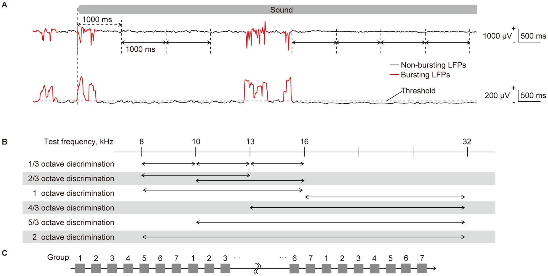 Graph and chart depicting local field potentials (LFPs) and frequency discrimination. Part A shows non-bursting and bursting LFPs with marked time intervals and thresholds. Part B illustrates frequency bands from eight to thirty-two kilohertz with arrows for octave discrimination. Part C shows groupings with numbered blocks.