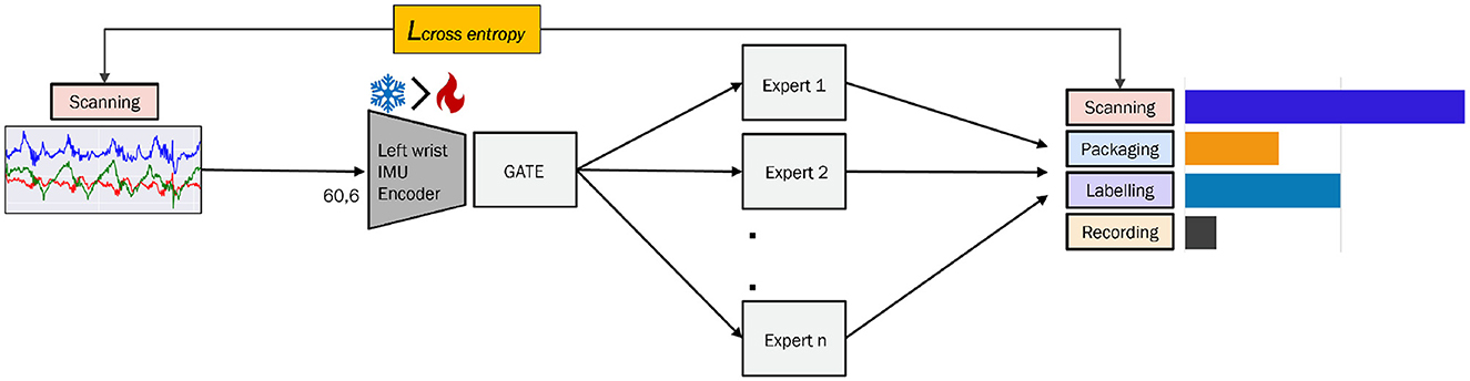 Flowchart illustrating a process starting with scanning and data visualization. Data is processed by a left wrist IMU encoder and GATE, producing outputs routed through multiple experts. Outputs categorize tasks into scanning, packaging, labeling, and recording, represented by colored bars of varying lengths. Labels also show cross-entropy loss.