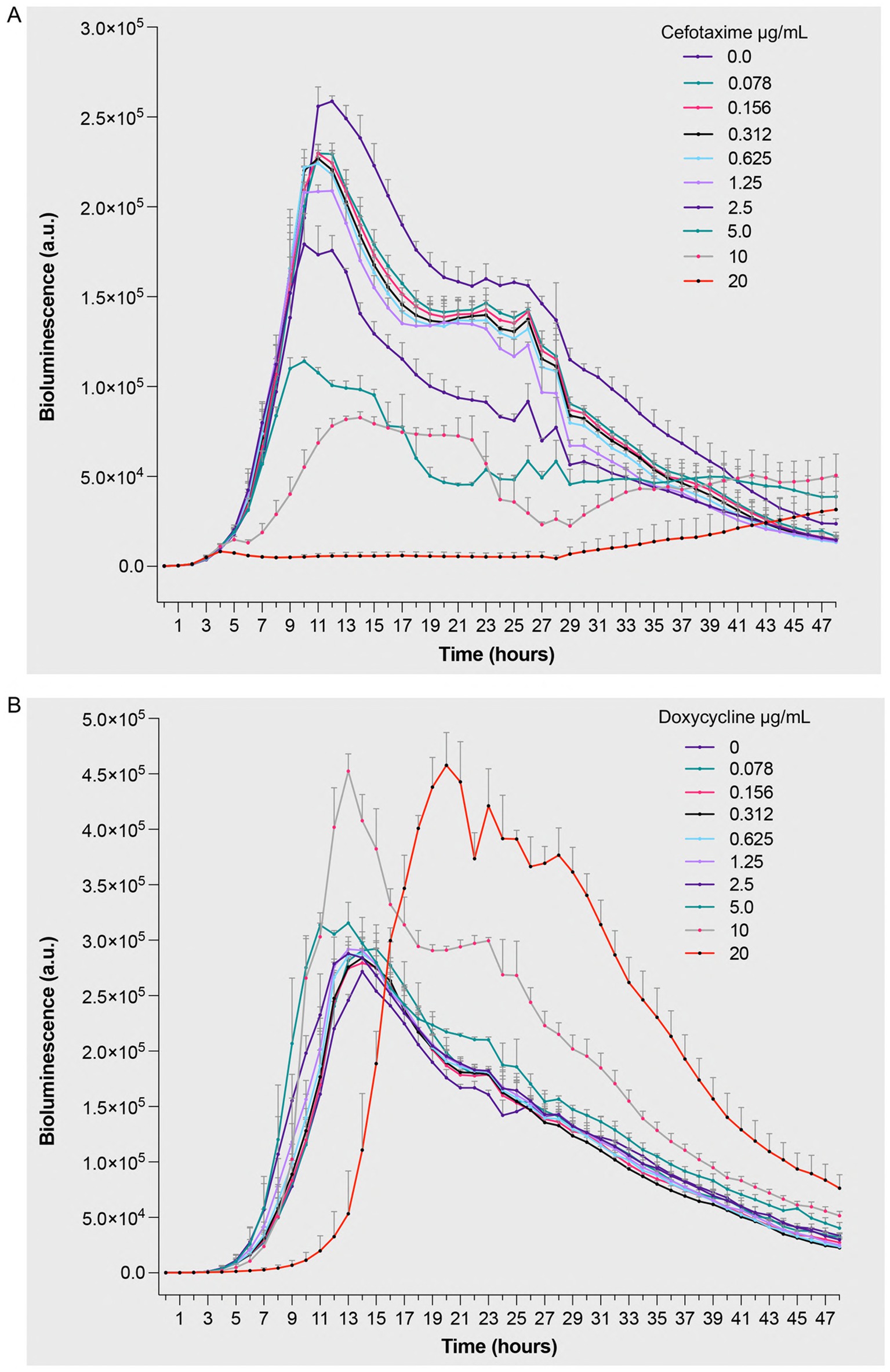 Line graphs show bioluminescence over time with varying concentrations of antibiotics. Graph A depicts cefotaxime, with bioluminescence peaking early, especially at lower concentrations. Graph B features doxycycline, where higher concentrations result in higher peaks and more variability. Bioluminescence decreases over time in both graphs.