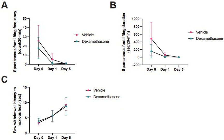 Graphs A, B, and C compare vehicle and dexamethasone treatments over time. Graph A shows a decrease in spontaneous foot lifting frequency. Graph B depicts a reduction in foot lifting duration. Graph C displays an increase in paw withdrawal latency to noxious heat.