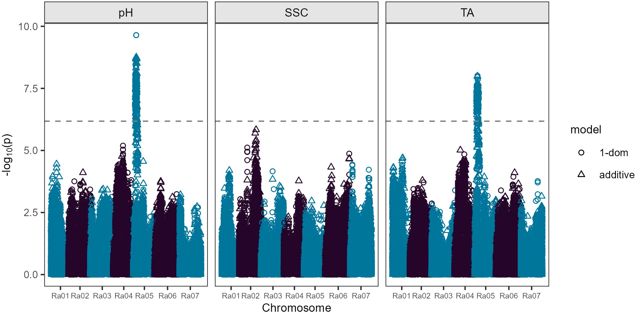 Manhattan plots displaying genetic association data across chromosomes Ra01 to Ra07 for traits pH, SSC, and TA. The y-axis shows -log10(p) values indicating significance. Blue circles represent the 1-dom model, while purple triangles indicate the additive model. Horizontal dashed line marks a significance threshold.