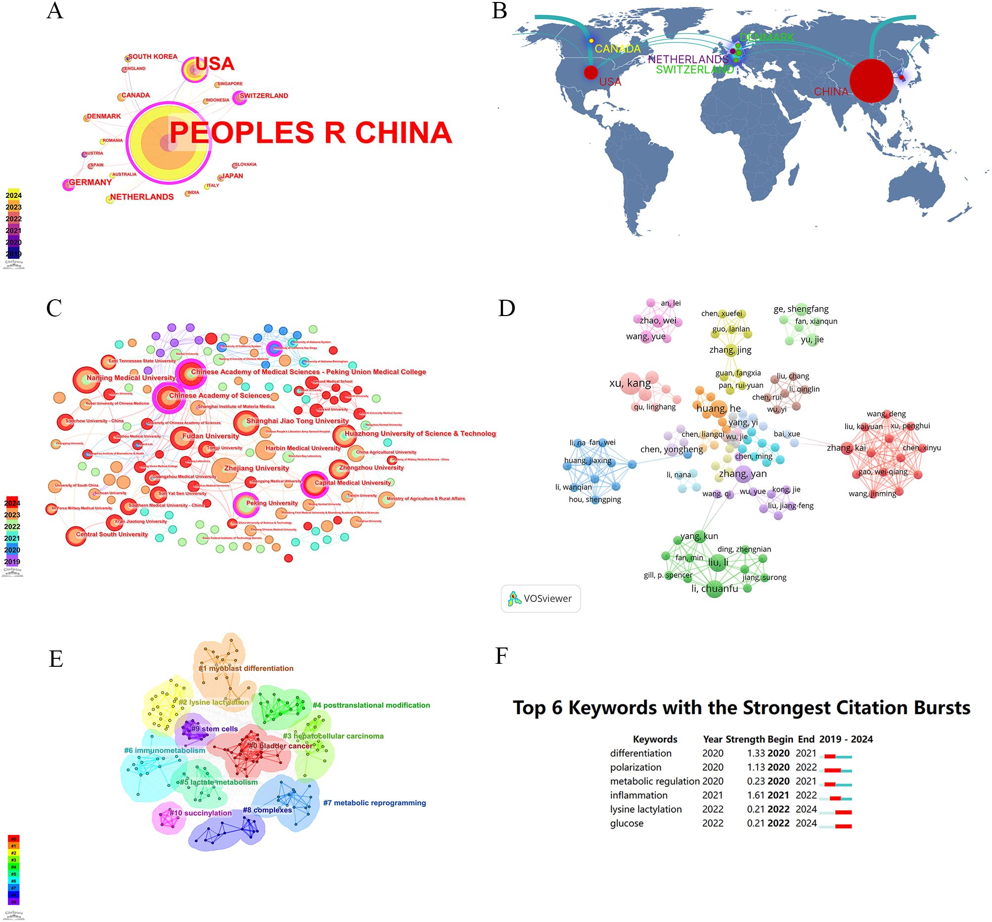 A visualization of research data includes six panels: A) A map illustrating country collaboration networks emphasizes China and the USA. B) A world map displays major collaborating countries with China. C) An institutional collaboration network, highlighting Chinese institutions like the Chinese Academy of Sciences. D) An author collaboration network with various colored clusters representing different research groups. E) A keyword co-occurrence network categorizes topics such as immunomodulation and metabolic reprogramming. F) A table lists the top six keywords with the strongest citation bursts from 2019 to 2024, including differentiation and glucose.