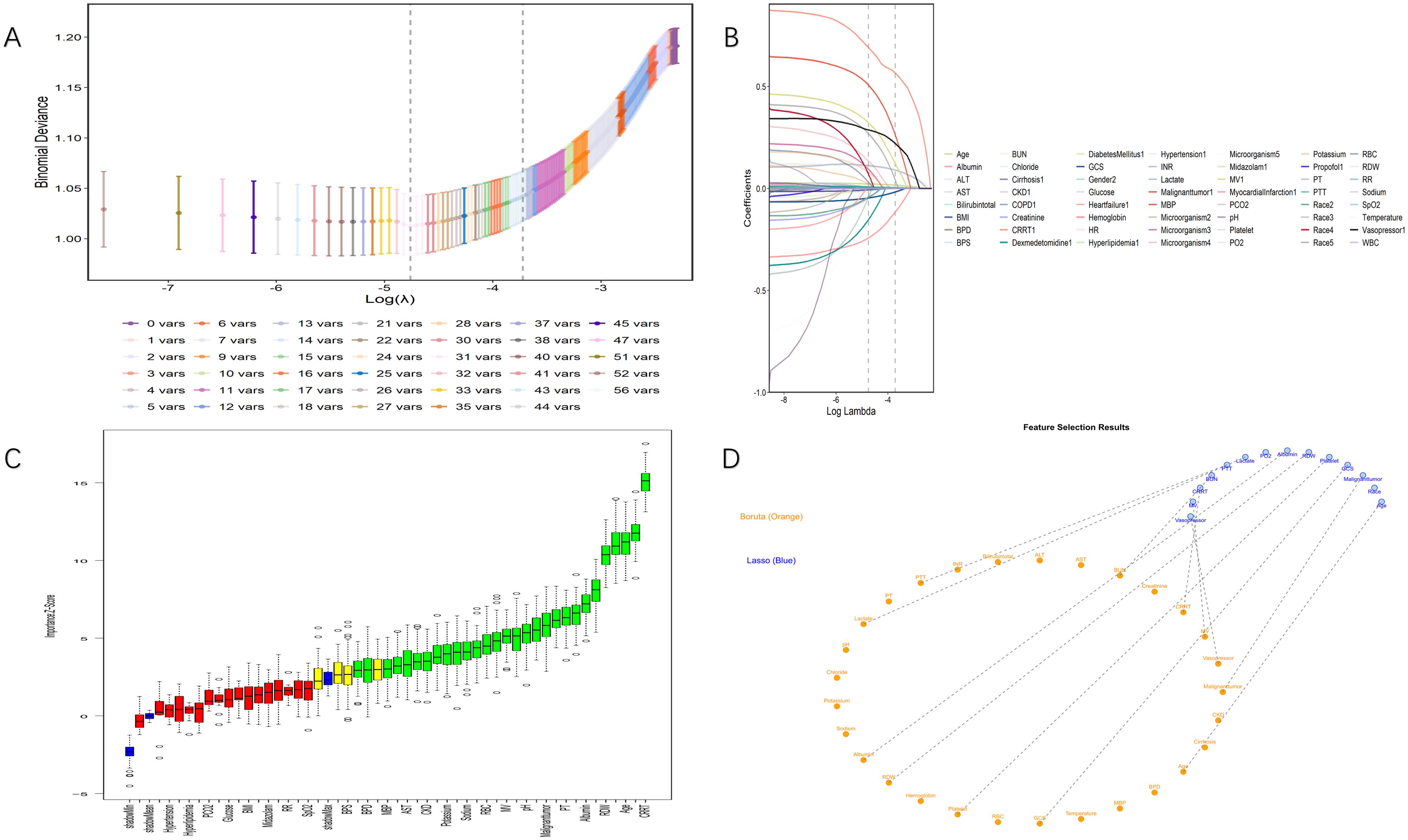 Four-panel image illustrating data analysis and feature selection: A) A plot showing binomial deviance versus log lambda with error bars and color-coded variables from 0 to 56. B) A coefficient path plot displaying various clinical variables across log lambda values. C) Variable importance plot with colored boxes, representing feature importance scores of clinical variables. D) Feature selection diagram illustrating variables selected by Boruta (orange) and Lasso (blue) with connecting lines.