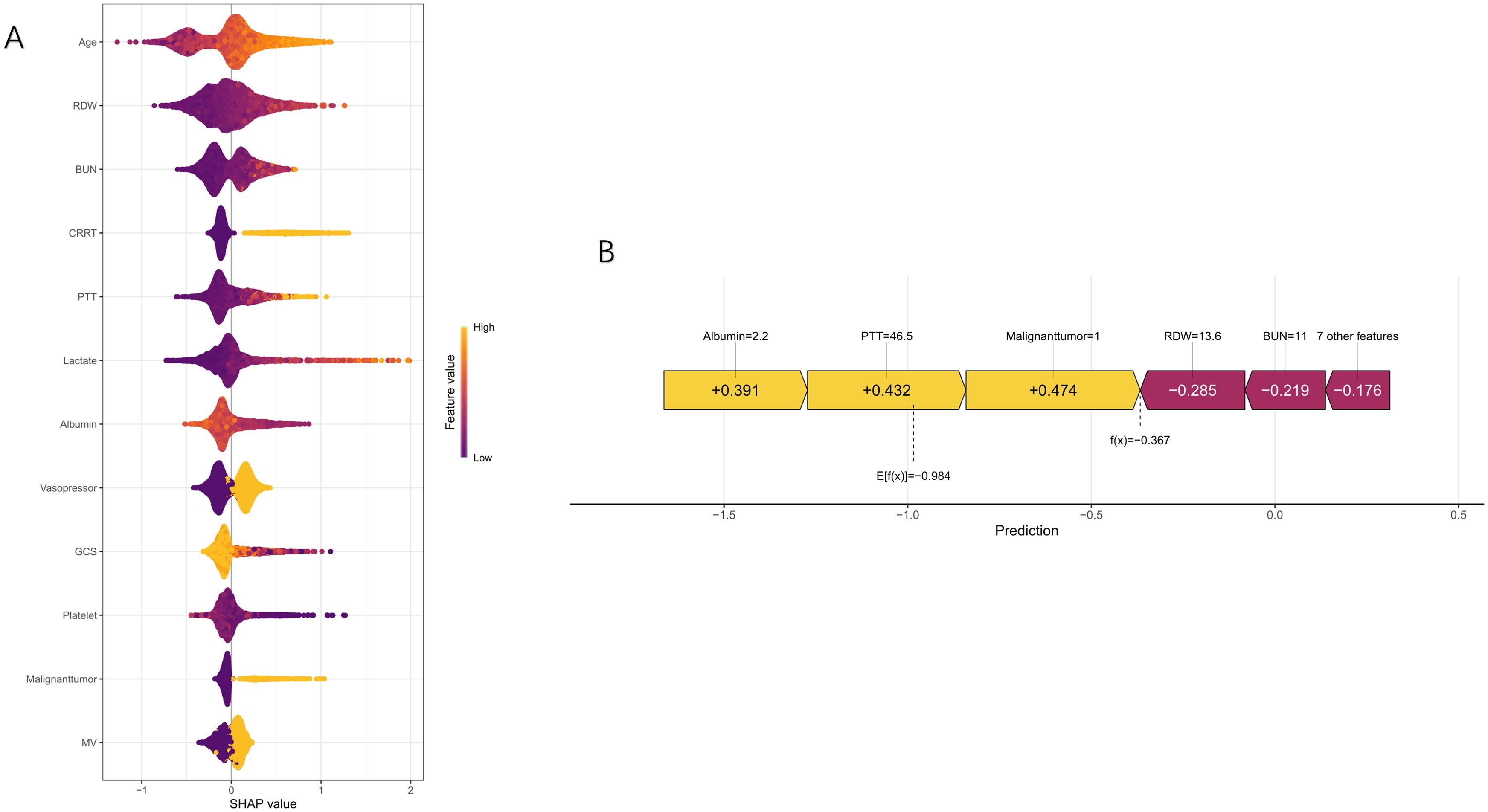 Panel A shows a violin plot for various features like Age and RDW against SHAP values, indicating impact on predictions. High feature values are in yellow; low in purple. Panel B is a SHAP waterfall plot depicting contributions of features like Albumin and PTT to prediction scores, with positive contributions in yellow and negative in purple.