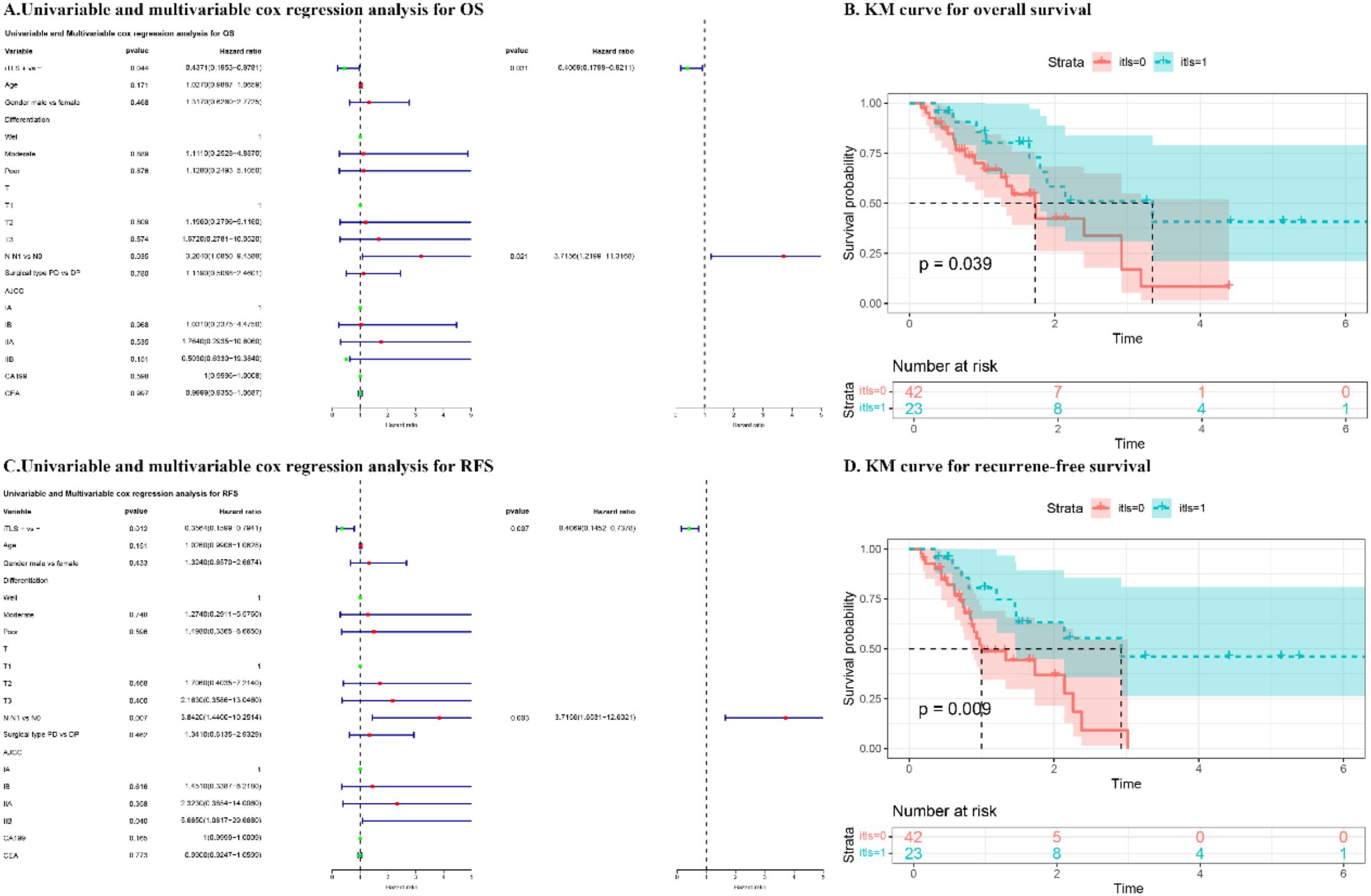 Univariable and multivariable Cox regression analysis charts display hazard ratios for overall survival (OS) and recurrence-free survival (RFS), with confidence intervals. Kaplan-Meier (KM) curves depict OS and RFS probabilities over time, highlighting significant differences between strata with p-values of 0.039 and 0.009, respectively. Tables below each curve indicate the number at risk in each group over time.