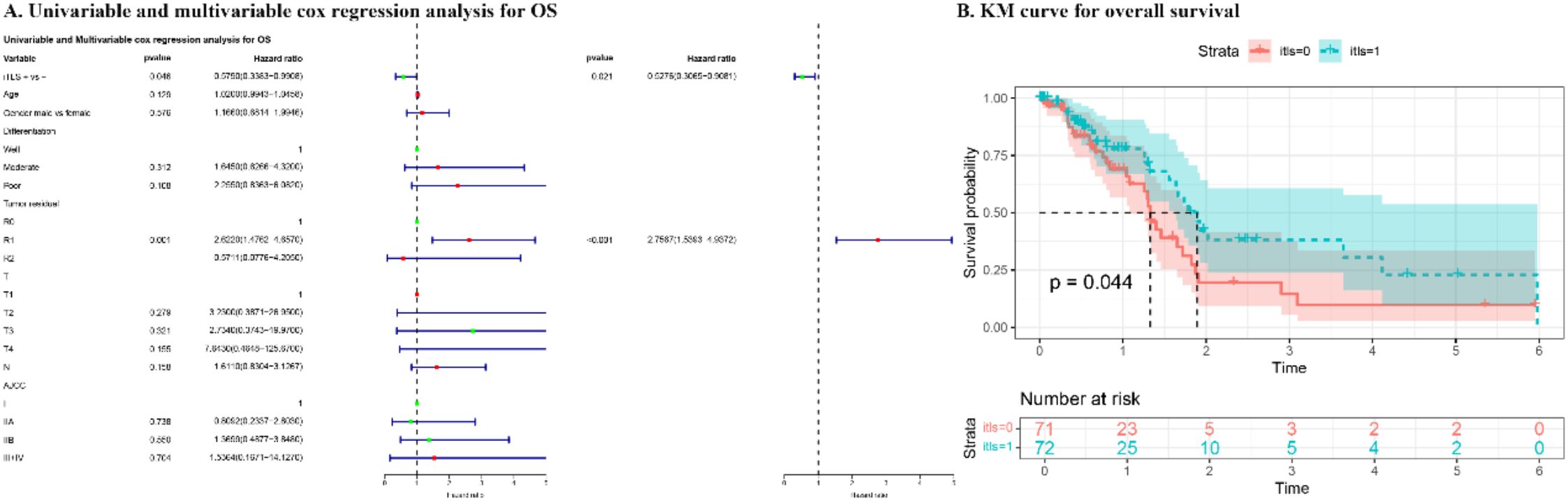 Univariable and multivariable Cox regression analysis graph for overall survival (OS) showing hazard ratios for various variables, with confidence intervals. Adjacent is a Kaplan-Meier (KM) curve displaying overall survival probabilities over time for two strata, ltits equals zero and ltits equals one, with a p-value of 0.044. Shaded areas indicate confidence intervals, and a table below shows the number at risk at different times.