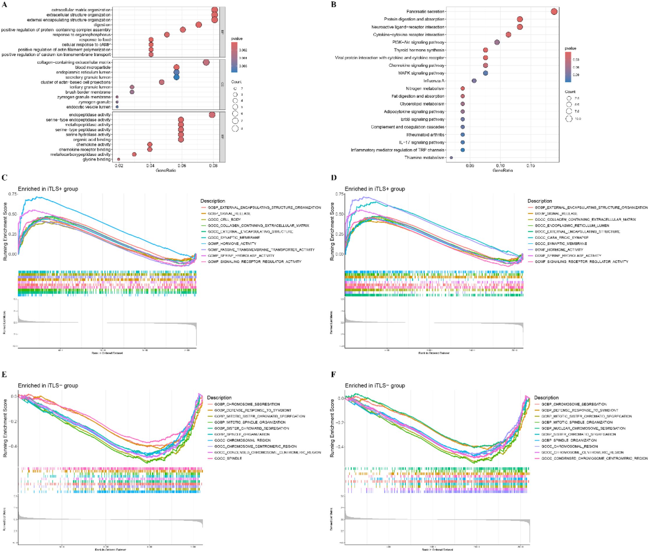 Panel A shows a dot plot of gene expression related to cellular structures and processes. Panel B displays gene set enrichment analysis with circles indicating p-values and gene ratios. Panels C and D present enrichment scores for various biological processes in the TLS-positive group, while Panels E and F show enrichment scores for processes in the TLS-negative group, with color-coded lines representing different gene sets.