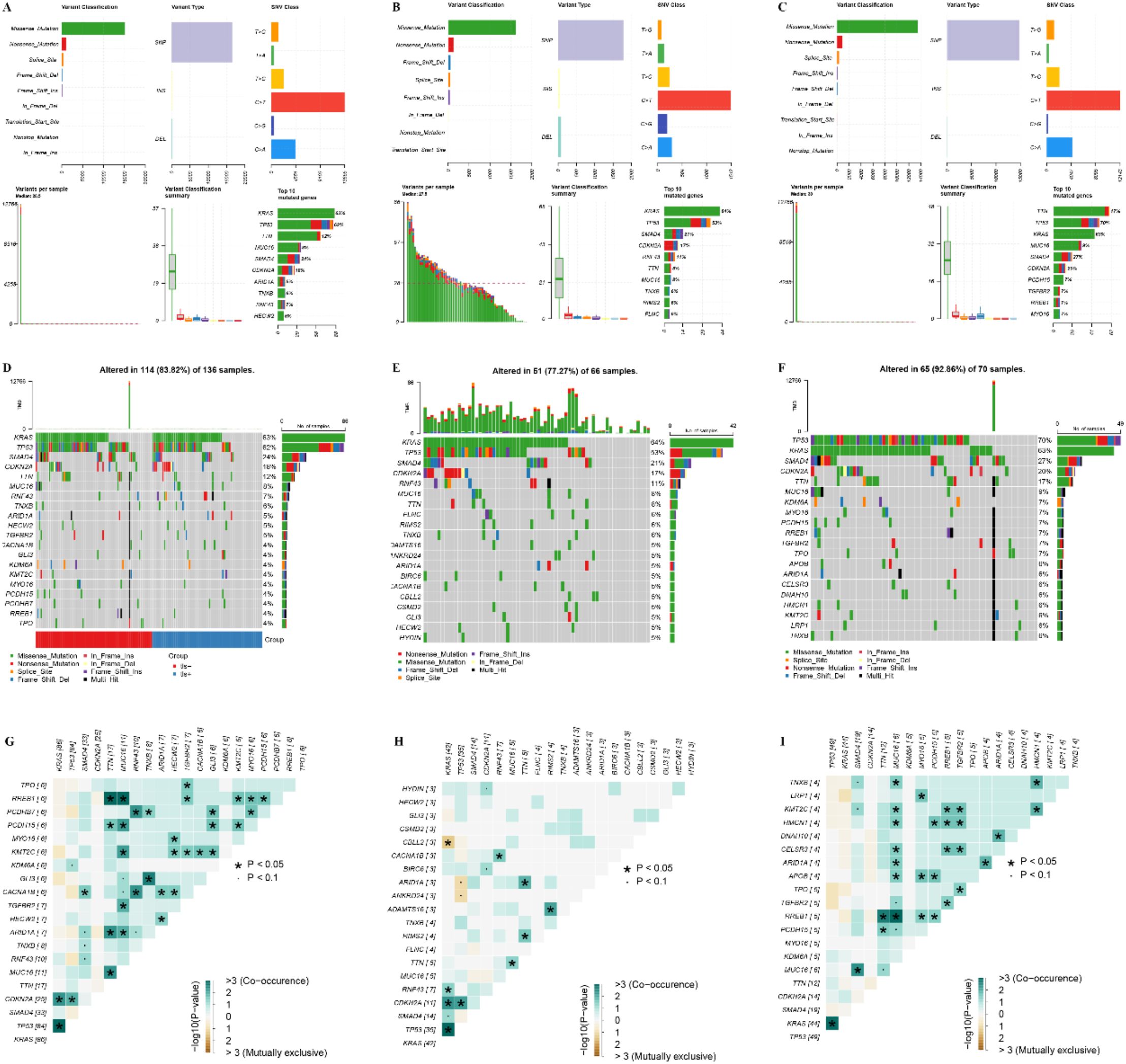 A series of panels (A-I) display various data visualizations related to genetic alterations in samples. Panels A-C include bar charts highlighting variant classification, type, and SNP class. Panels D-F show heatmaps depicting sample alterations with color-coded mutation types. Panels G-I present correlation matrices with color gradients indicating co-occurrence and mutual exclusivity among genes, marked by significance levels. Labels, legends, and percentages provide detailed context for each visualization.