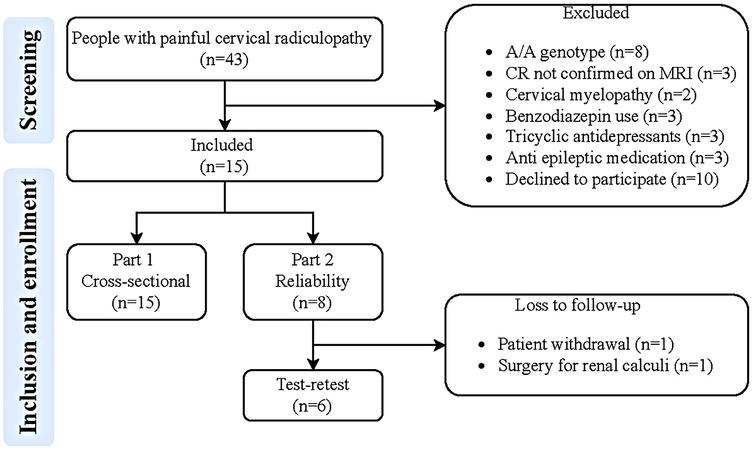 Flowchart detailing a study on cervical radiculopathy. Initially, 43 participants were screened. Fifteen were included, with exclusions due to genotype, MRI results, and other factors. Participants proceeded to cross-sectional (15) and reliability tests (8), with a test-retest (6). Follow-up loss included one withdrawal and one surgery case.