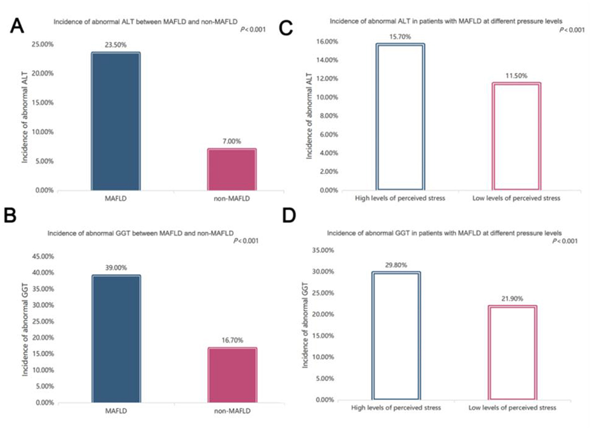Grouped bar charts illustrating the incidence of abnormal ALT and GGT. Chart A shows higher ALT incidence in MAFLD (23.5%) versus non-MAFLD (7%). Chart B displays higher GGT incidence in MAFLD (39%) compared to non-MAFLD (16.7%). Chart C indicates higher ALT incidence with high perceived stress (15.7%) versus low stress (11.5%) in MAFLD patients. Chart D shows higher GGT incidence with high perceived stress (29.8%) versus low stress (21.9%) in MAFLD patients. All charts indicate significance at P < 0.001.