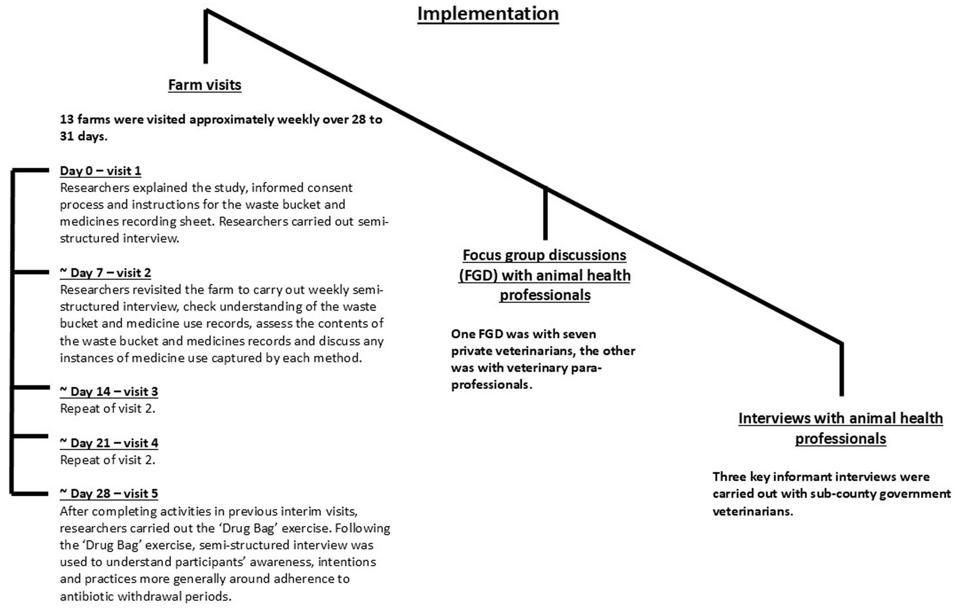 Flowchart illustrating the implementation process in three phases: farm visits, focus group discussions, and interviews with animal health professionals. Farm visits occurred weekly on 13 farms over approximately 28 to 31 days, consisting of five visits. Focus group discussions involved private veterinarians and veterinary para-professionals. Interviews were conducted with sub-county government veterinarians.