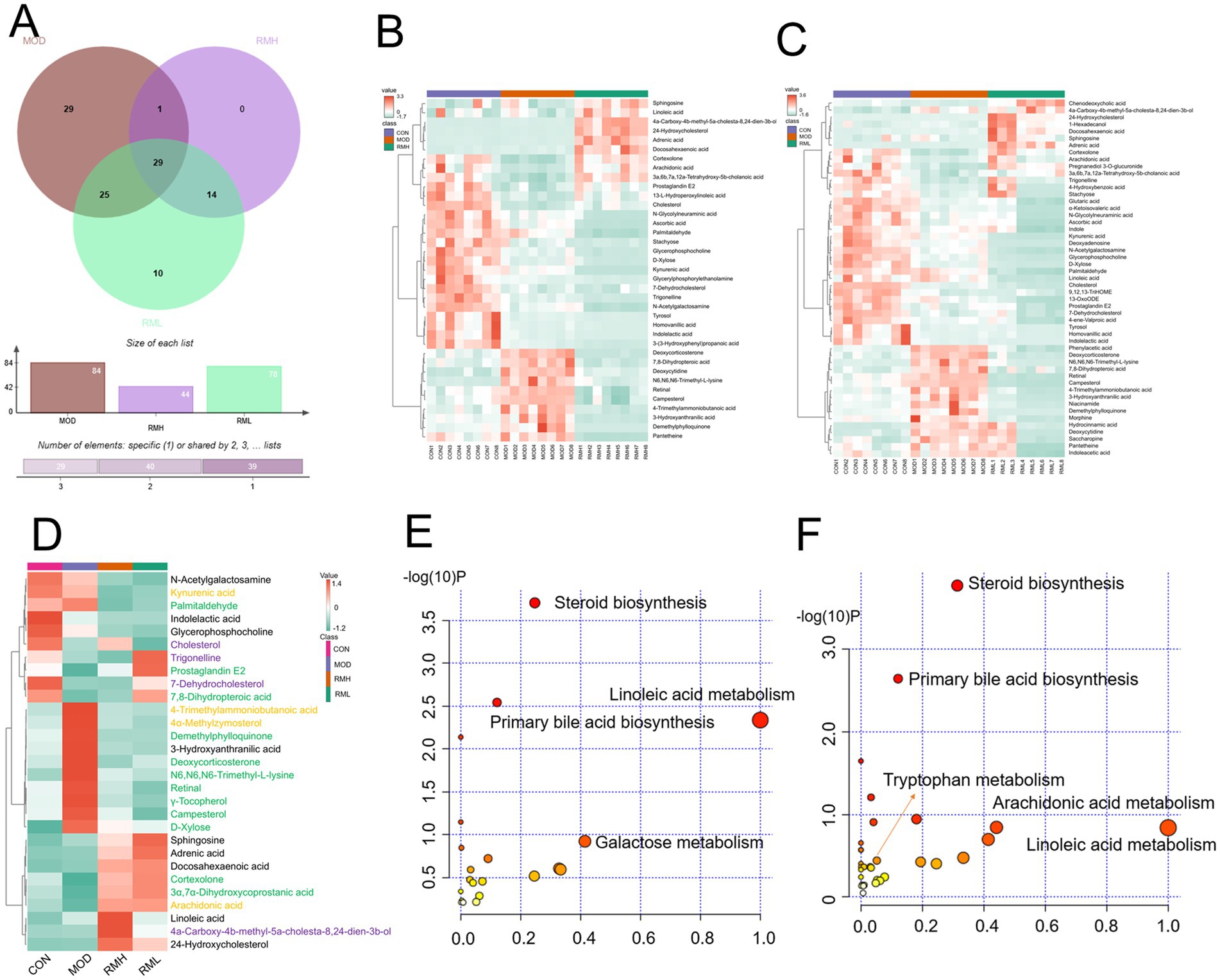 Venn diagram (A) shows shared and unique elements across MOD, RMH, and RML groups. Heatmaps (B and C) display metabolite abundance with variations in color intensity. Heatmap (D) highlights specific metabolites across different conditions. Scatter plots (E and F) illustrate metabolite enrichment pathways, with bubble size indicating significance, demonstrating key pathways like steroid and bile acid biosynthesis.
