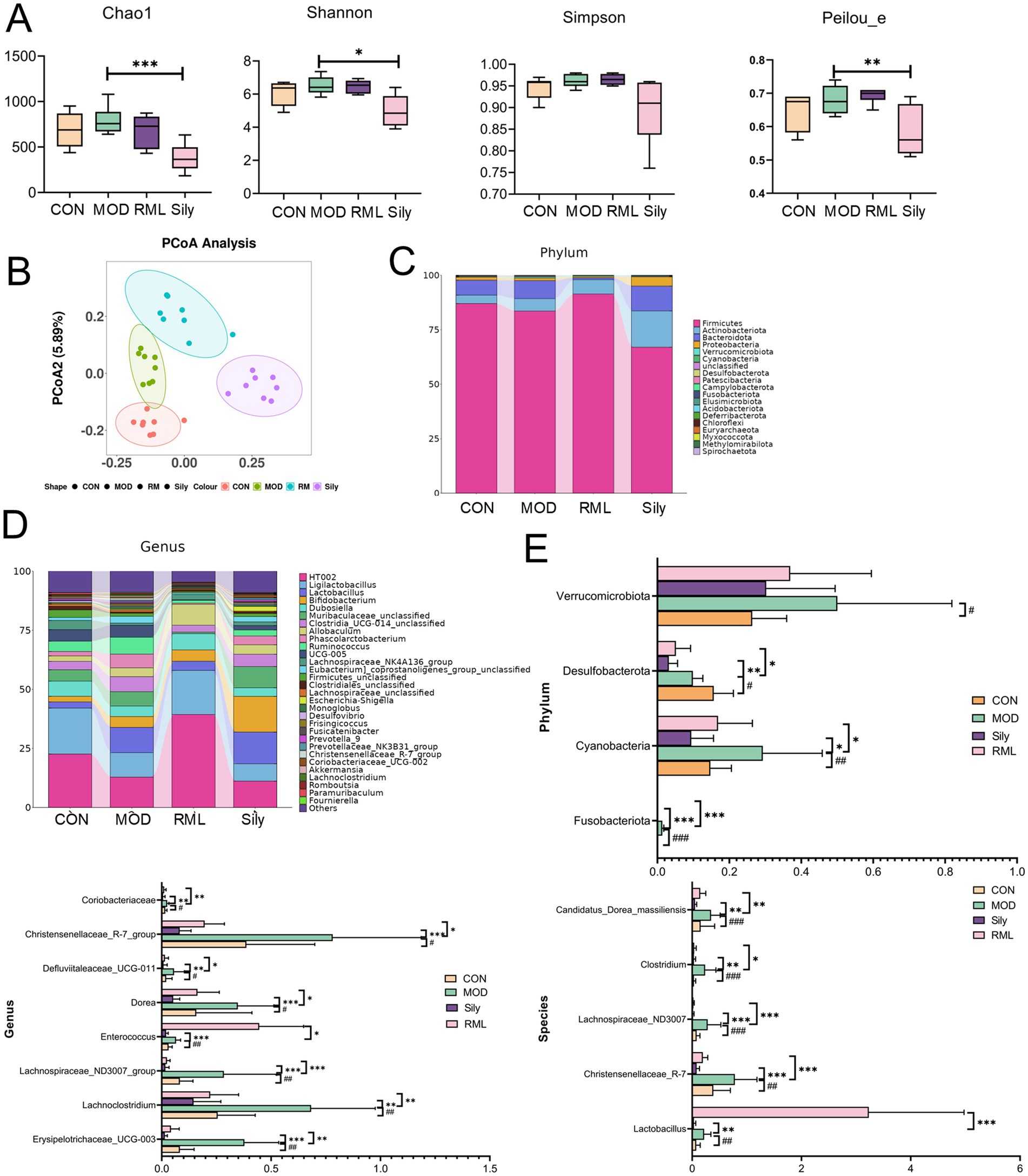 Boxplots and bar charts compare microbial diversity and abundance across four conditions: CON, MOD, RML, and Sily. Panel A shows alpha diversity indices (Chao1, Shannon, Simpson, Peilou_e). Panel B presents a PCoA plot distinguishing groups. Panel C displays phylum-level composition, and Panel D shows genus-level differences. Panel E features phylum and species abundance bar plots. Significant differences are indicated with asterisks, suggesting variation in microbial communities among the conditions.
