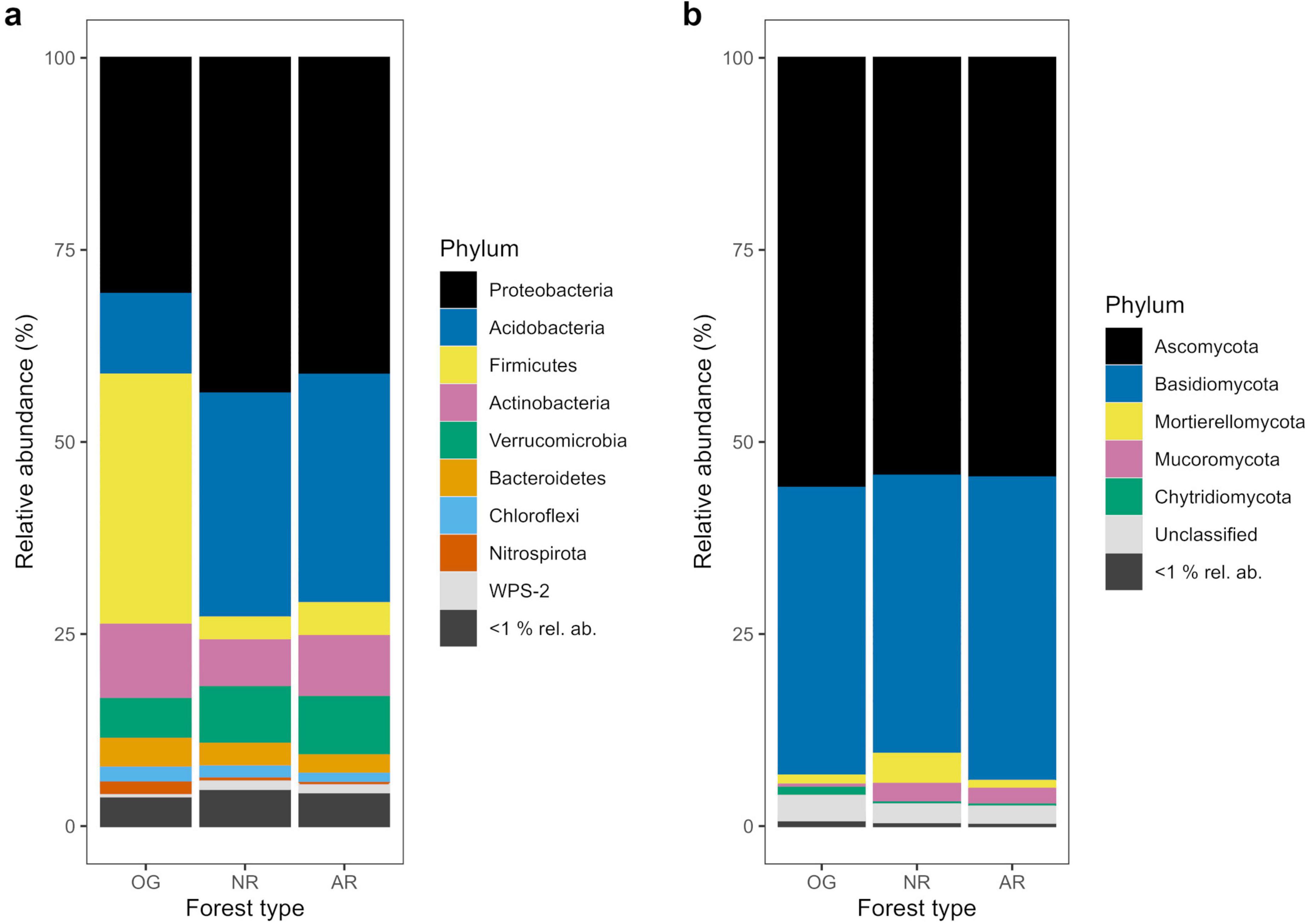 Two bar charts showing relative abundance (as percentages) of different phyla across three forest types of old-growth forest and actively restored or naturally regenerating logged forest. Chart (a) represents bacteria with phyla such as Proteobacteria and Acidobacteria. Chart (b) represents fungi with phyla including Ascomycota and Basidiomycota. Each color corresponds to a different phylum, detailed in the legends.