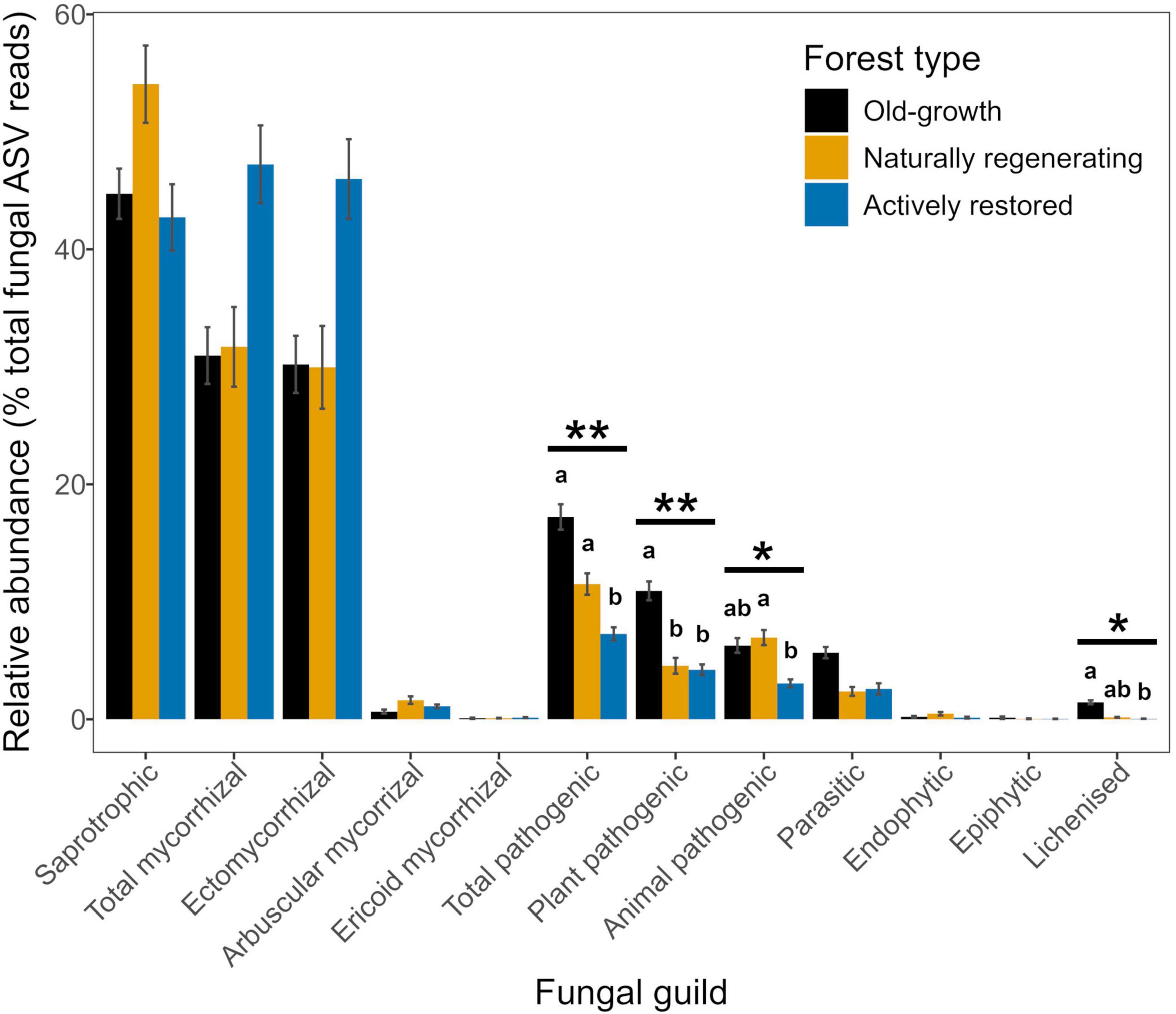 Bar chart comparing the relative abundance of fungal ASV reads across different forest types: old-growth forest (black), naturally regenerating logged forest (orange), and actively restored logged forest (blue). Categories include saprotrophic, mycorrhizal and pathogenic fungi. Statistical significance of the effect of forest type is marked with asterisks, and statistically different or similar forest types for fungal guilds are denoted by lower case letters. Error bars indicate variability within forest types (one standard error).