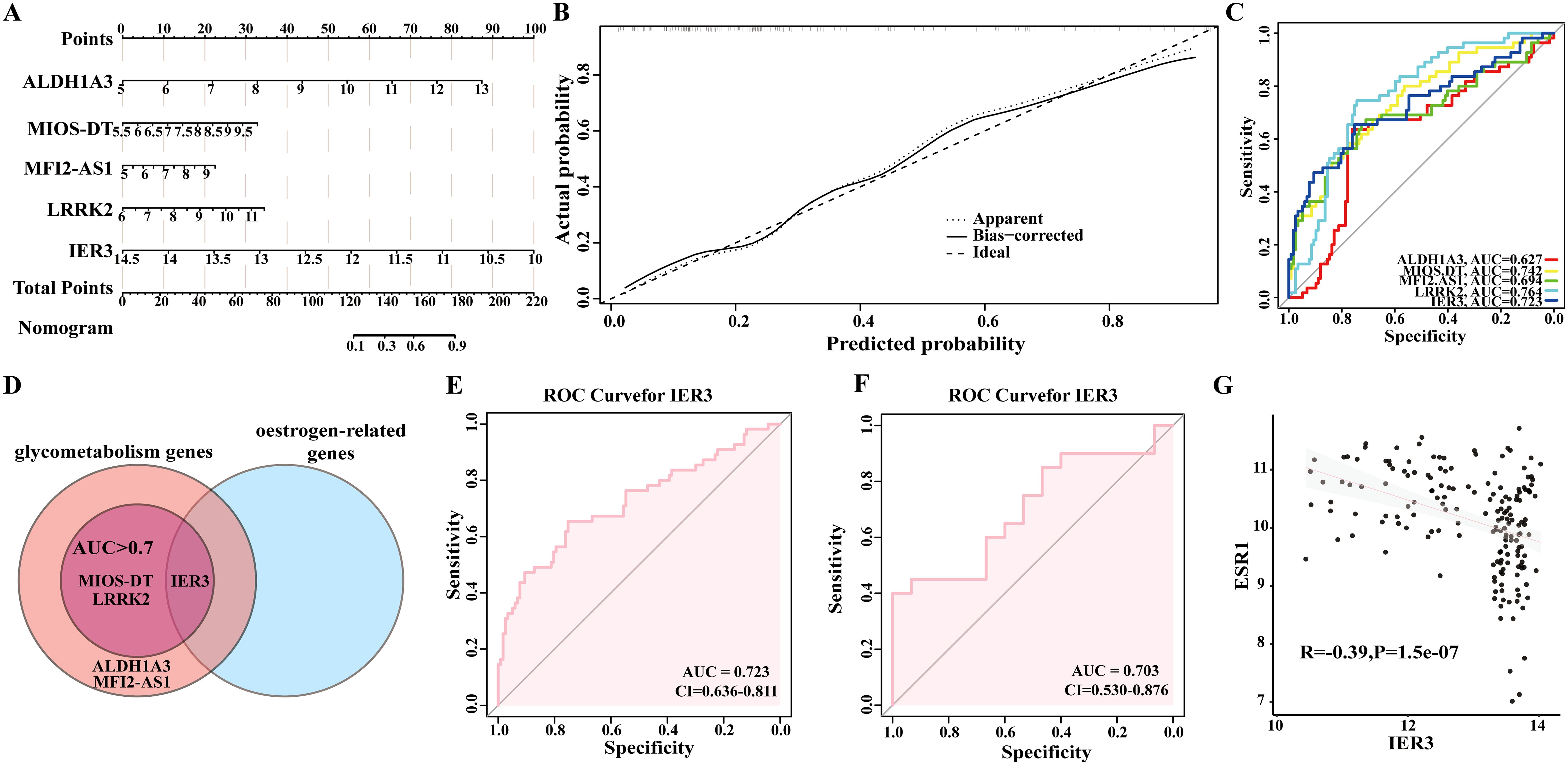 A composite image showing several charts and graphs related to gene analysis: (A) A nomogram for genes ALDH1A3, MIOS-DT, MFI2-AS1, LRRK2, and IER3. (B) A calibration plot comparing predicted and actual probability. (C) ROC curves for the genes with their AUC values. (D) A Venn diagram of glycometabolism and estrogen-related genes. (E) ROC curve for IER3 with AUC of 0.723 and confidence interval (CI) 0.636-0.811. (F) Another ROC curve for IER3 with an AUC of 0.703 and CI 0.530-0.876. (G) A scatter plot showing correlation between IER3 and ESR1 with R=-0.39, P=1.5e-07.