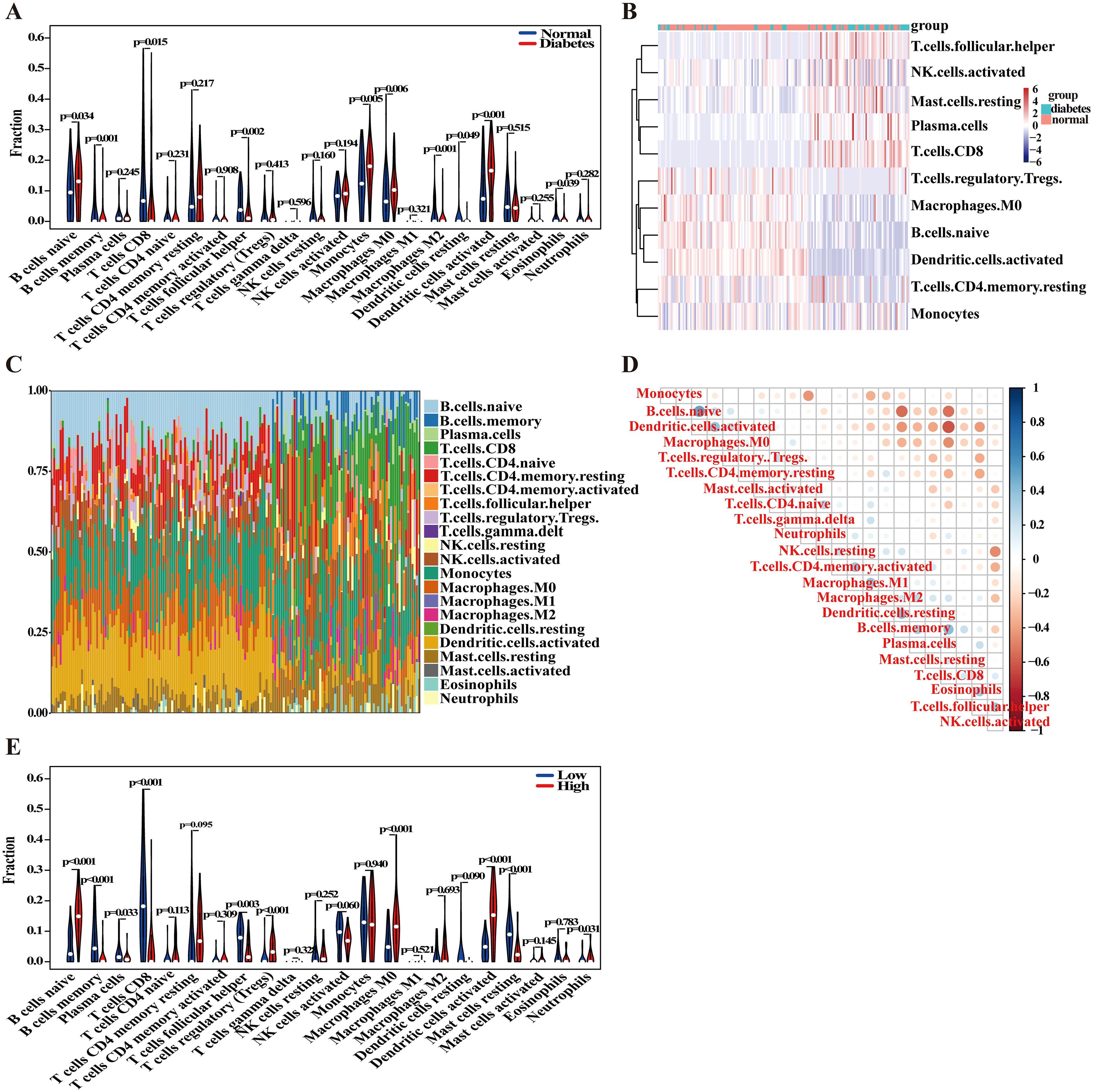 The image shows five panels of data visualizations related to cell types and conditions. Panel A displays a violin plot comparing the fractions of various immune cells in normal versus diabetic conditions. Panel B is a heatmap showing cell group clustering based on diabetes status. Panel C illustrates a stacked bar plot of cell type proportions across different samples. Panel D presents a correlogram indicating correlations between immune cell populations. Panel E is another violin plot comparing cell fractions under low versus high conditions. P-values are indicated for significance in panels A and E.