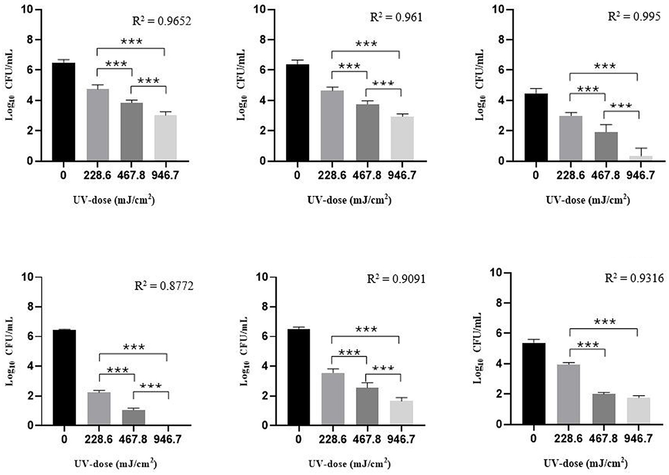Bar charts demonstrate the effect of increasing UV doses (0, 228.6, 467.8, 946.7 mJ/cm2) on log10 CFU/mL across six different groups. Each chart shows a significant decrease in microbial load with higher UV doses, indicated by asterisks for statistical significance (***). R-squared values range from 0.8772 to 0.995, indicating strong correlations. Error bars represent variability within data.