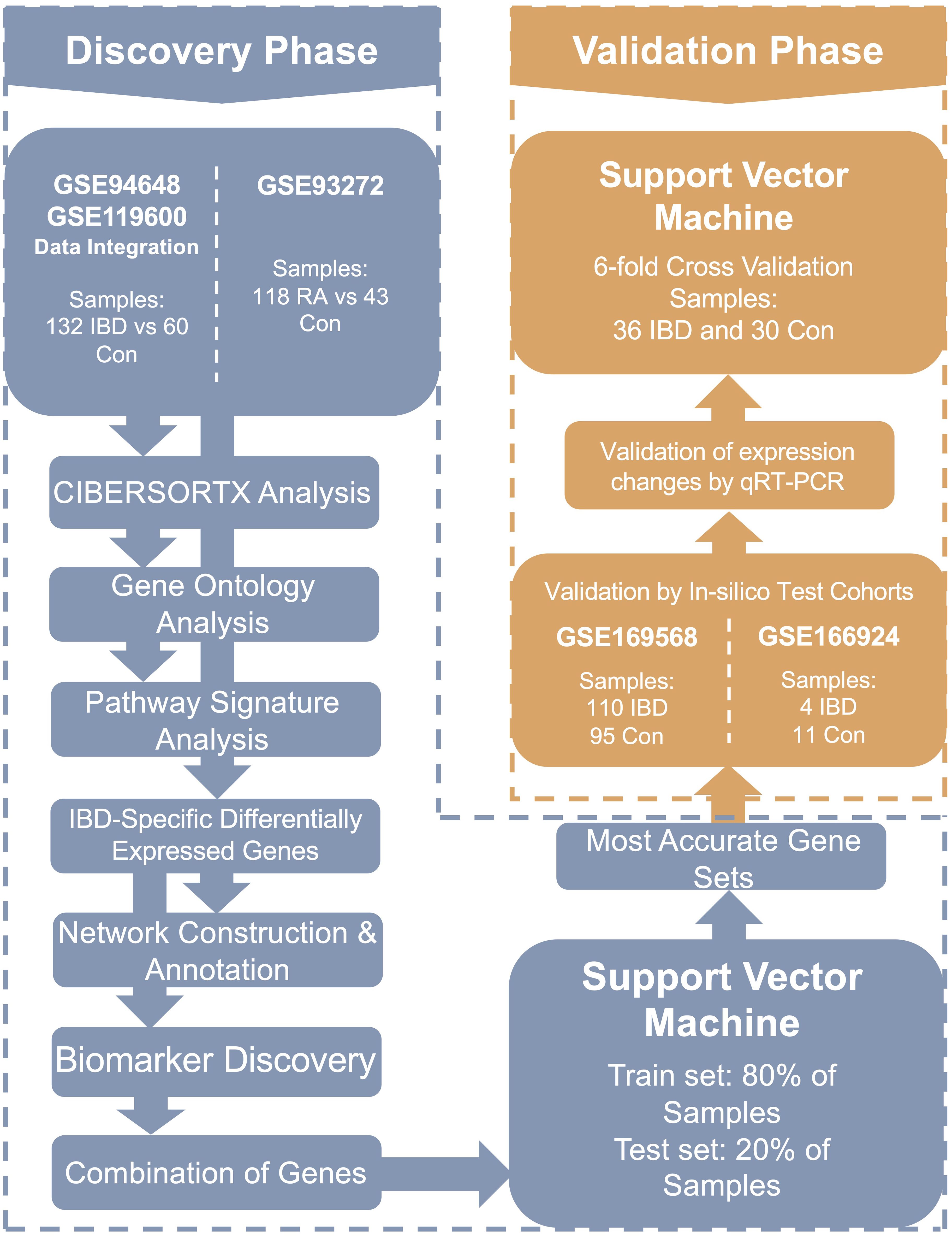 Flowchart detailing two phases: Discovery and Validation. In the Discovery Phase, data from GSE94648 and GSE119600 are integrated with analyses like CIBERSORTx and pathway signatures, identifying biomarkers. In the Validation Phase, a support vector machine with six-fold cross-validation is used, validated by qRT-PCR and in-silico test cohorts from datasets GSE169568 and GSE166924. Most accurate gene sets inform a final support vector machine model using 80% for training and 20% for testing.