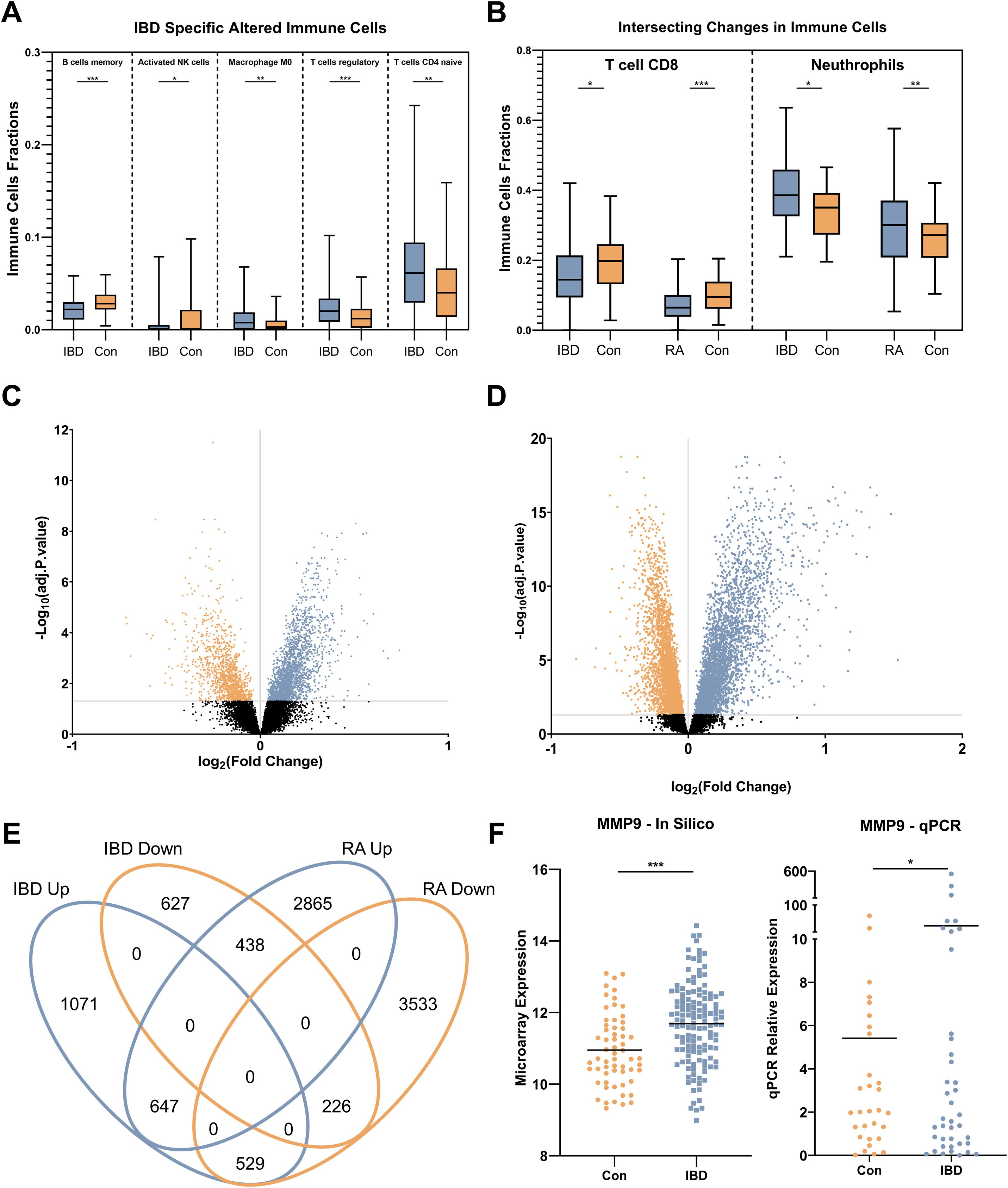 Six-panel image showing immune cell analysis and gene expression changes. A: Box plots of immune cell fractions in IBD versus control groups for various cells. B: Box plots for intersecting changes in immune cells across conditions. C and D: Volcano plots showing gene expression changes, highlighting significant alterations. E: Venn diagram illustrating overlaps in gene expression changes for IBD and RA conditions. F: Dot plots comparing MMP9 expression levels in silico and via qPCR between control and IBD groups, indicating increased expression in IBD.