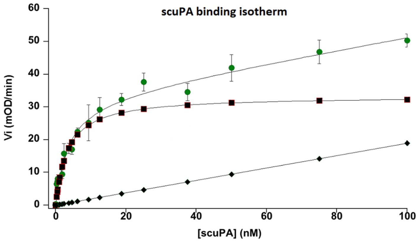 Graph of scuPA binding isotherm showing three curves. The x-axis represents scuPA concentration in nanomolar, and the y-axis shows the initial velocity in milli-optical density per minute. Green circles indicate total scuPA binding, red squares total minus non specific scuPA binding, and black diamonds non specific scuPA binding. Error bars are present.